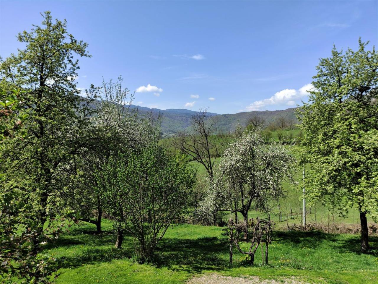 Apatments Radoja - Pliva