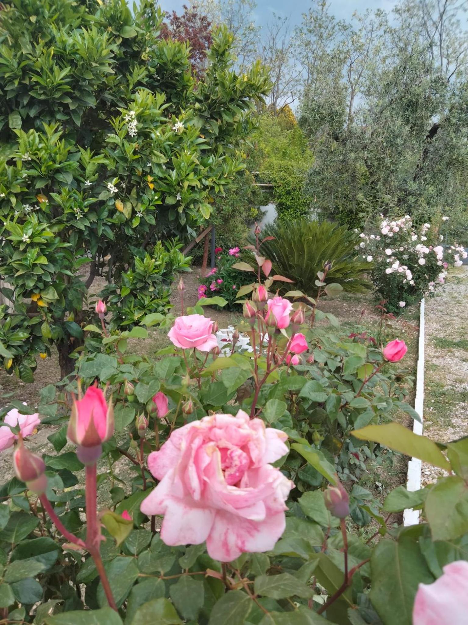 La Moresca
