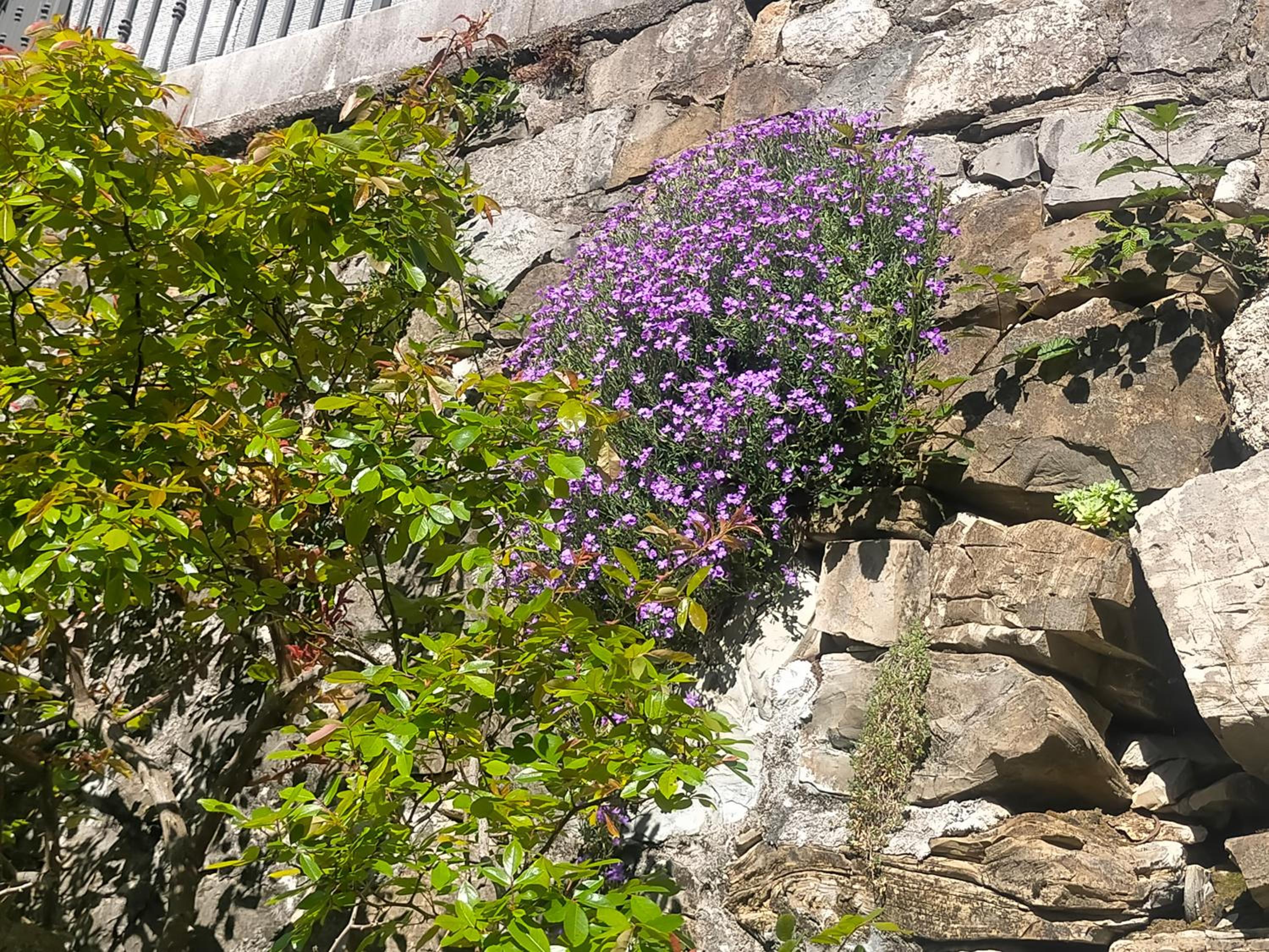 Photo 47