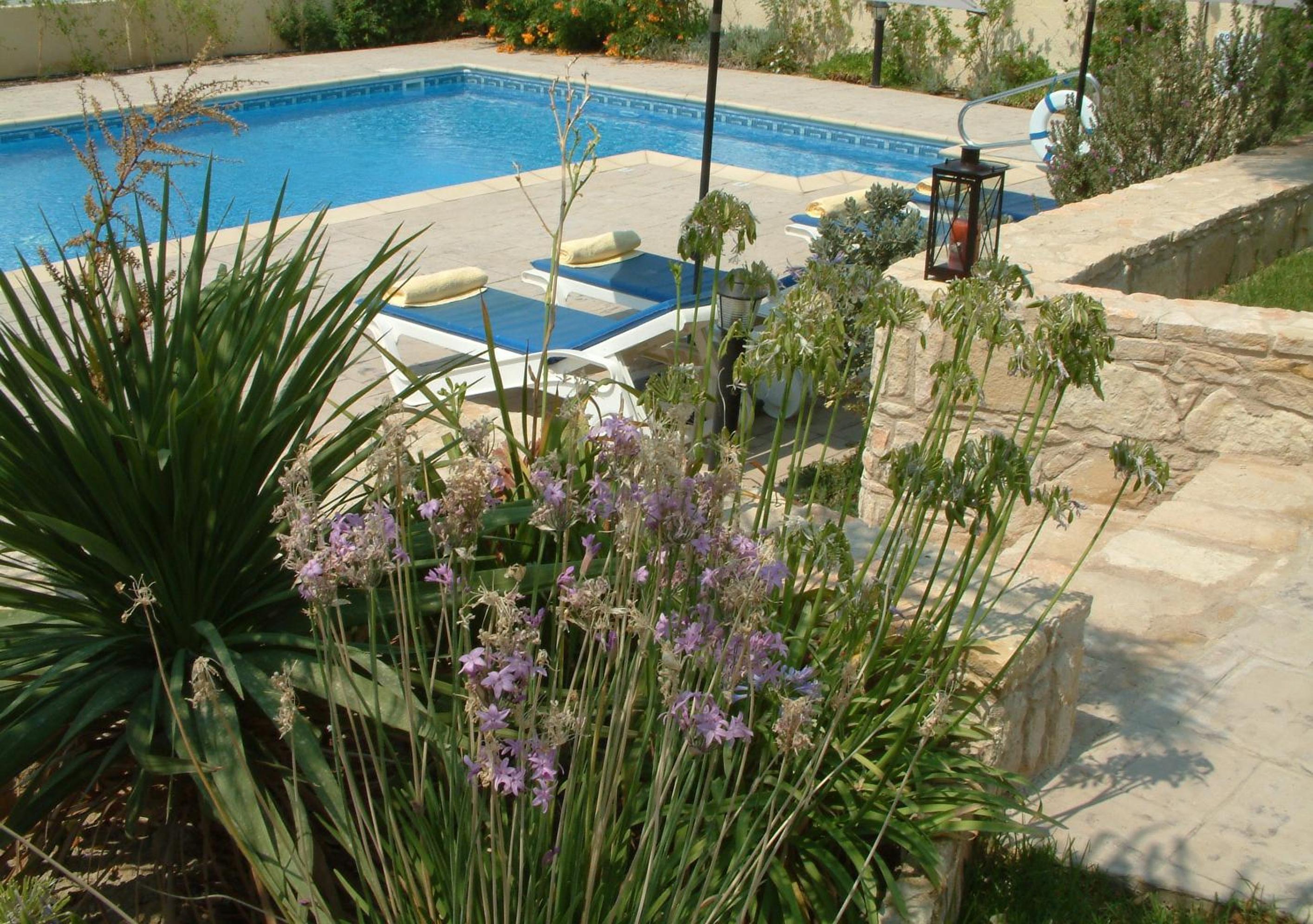 Photo 49
