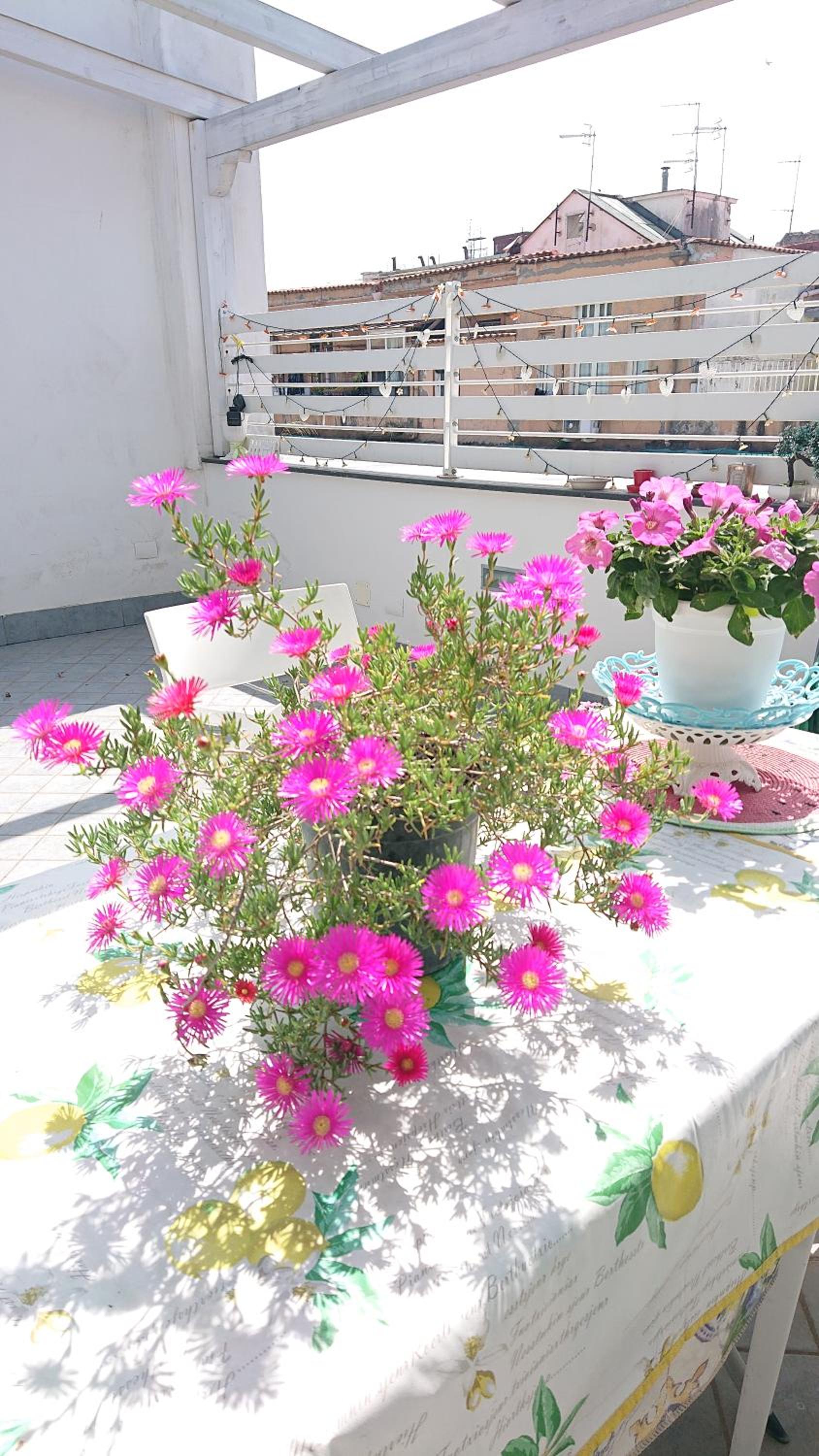 Sky-Terrace in Central Station, 3 bedrooms