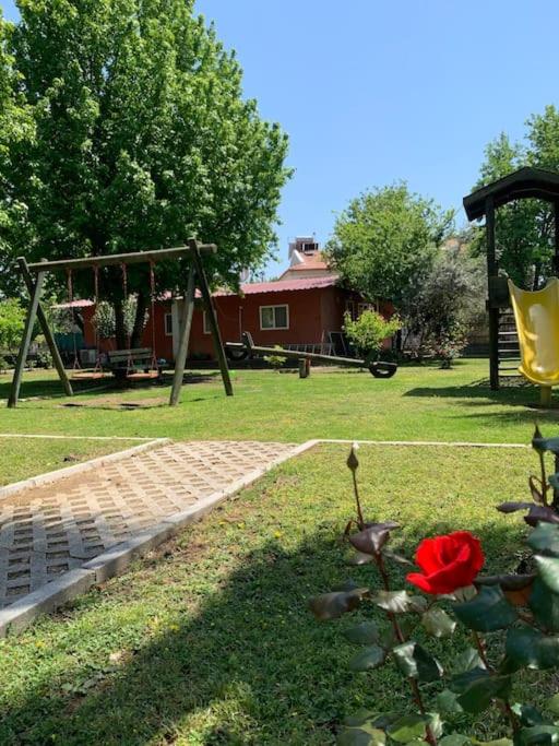 Villa Linda Fethiye — photo 3