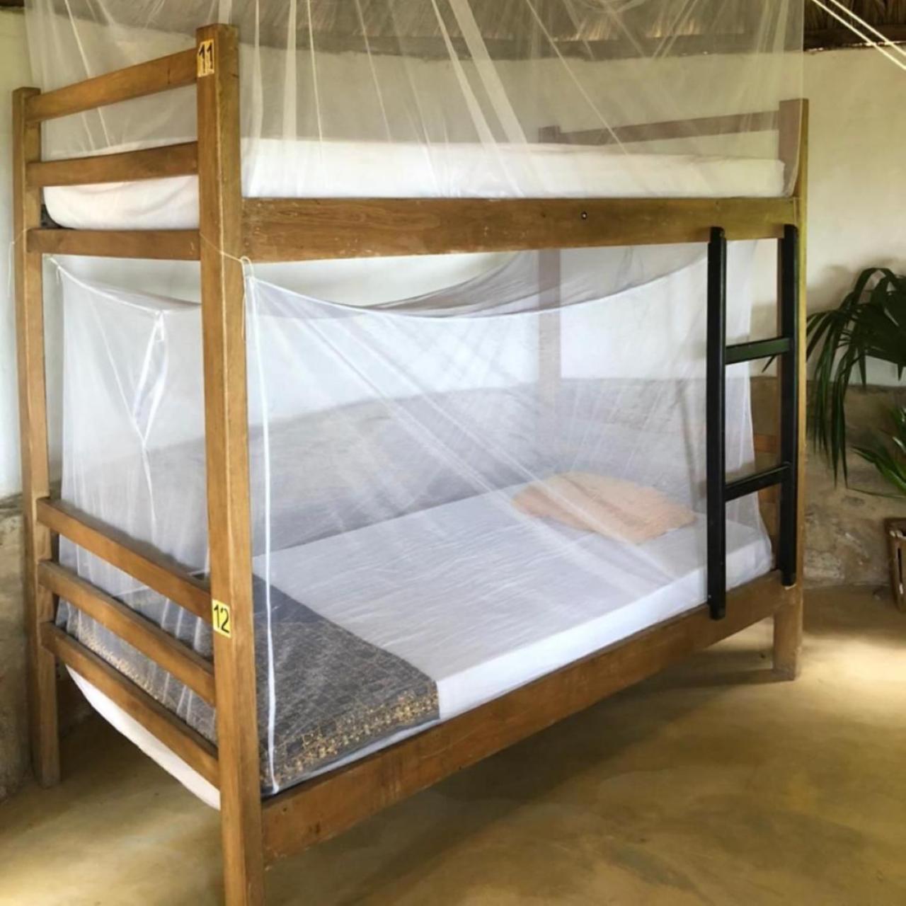Puerto Alto Hostel