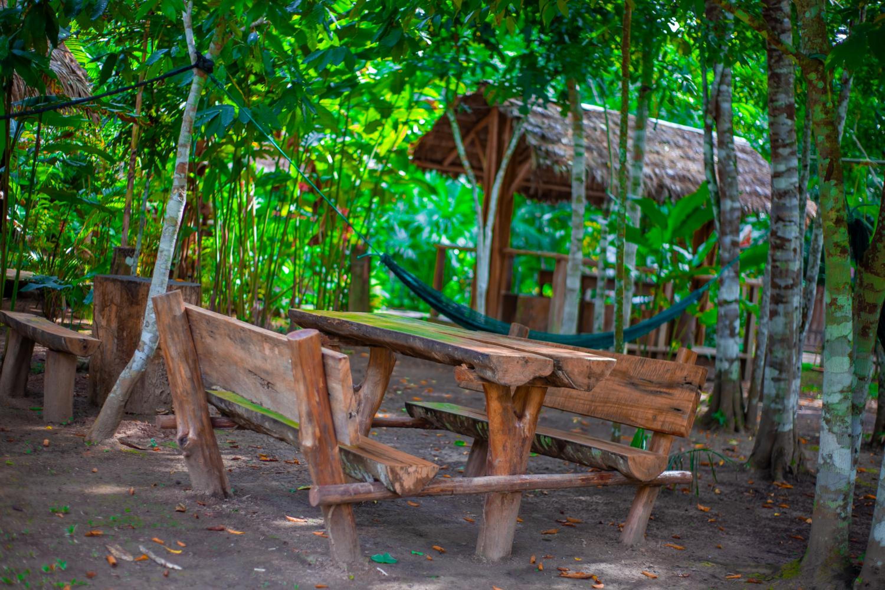 Tronco Tambopata Adventure view 4