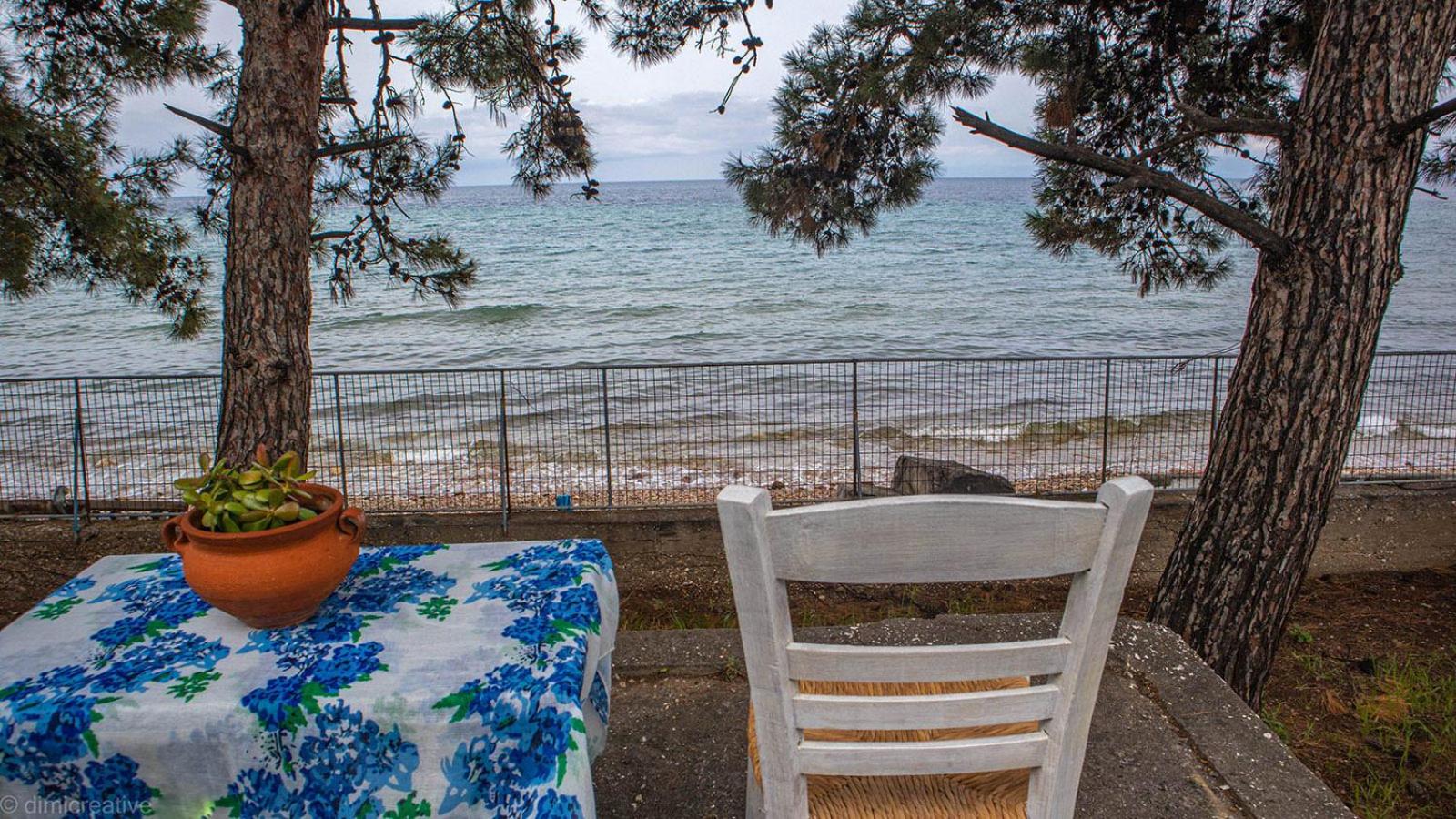 Pine Beach House
