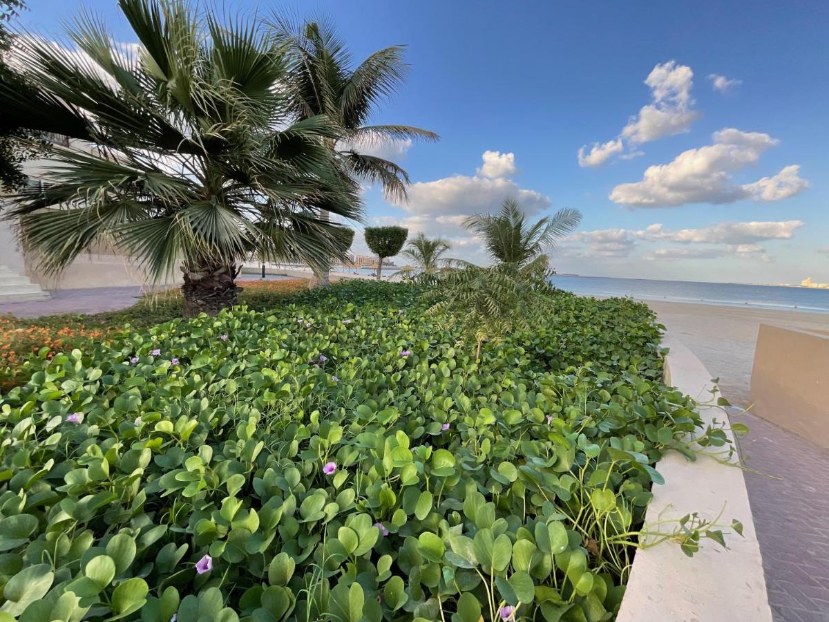 Amazing 1 Bedroom Apartment Next To The Beach