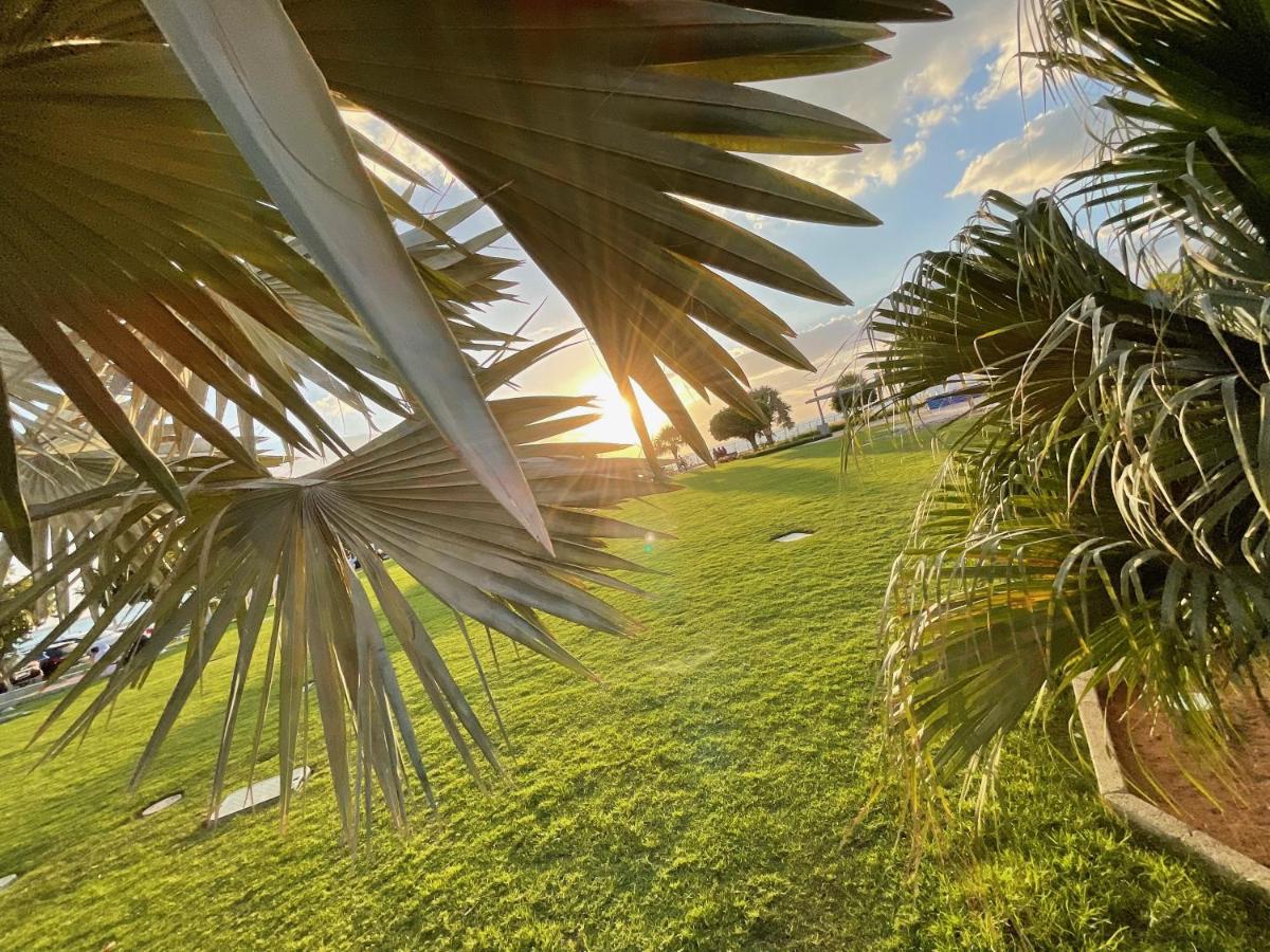 Amazing 1 Bedroom Apartment Next To The Beach