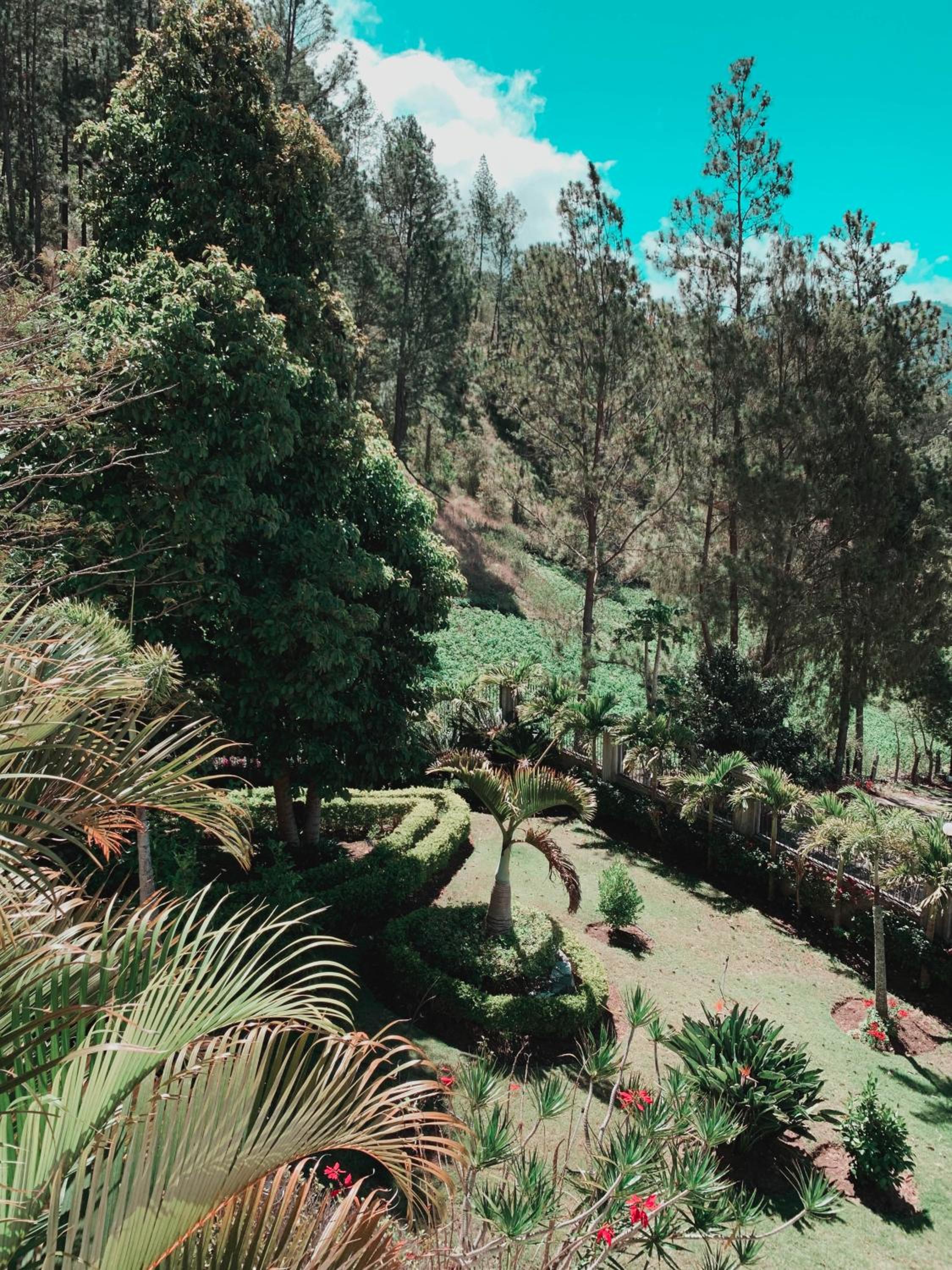 Villa paloma view 3