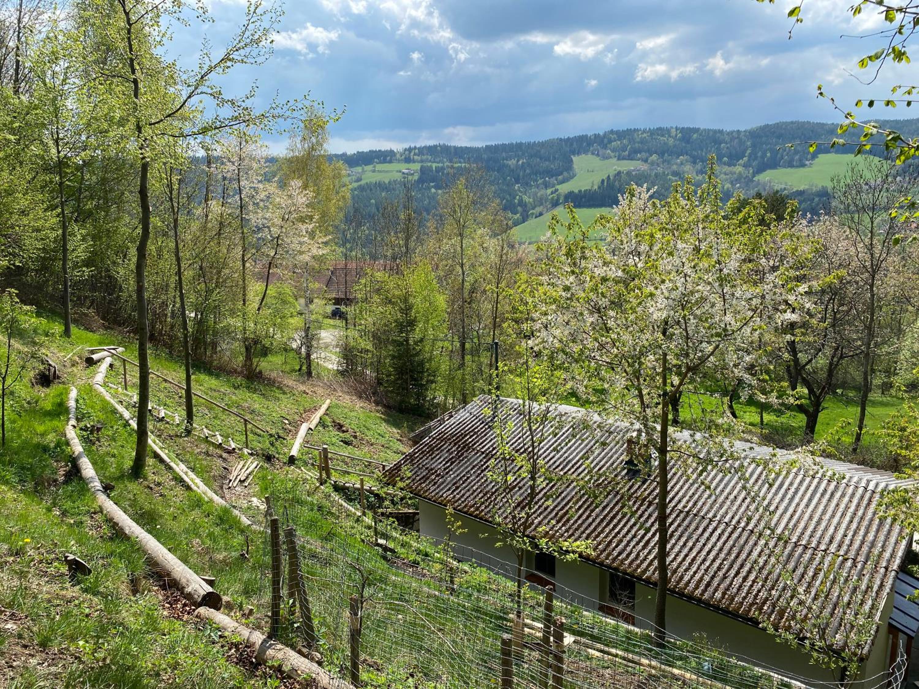 AUSZEIT am Steinbichl