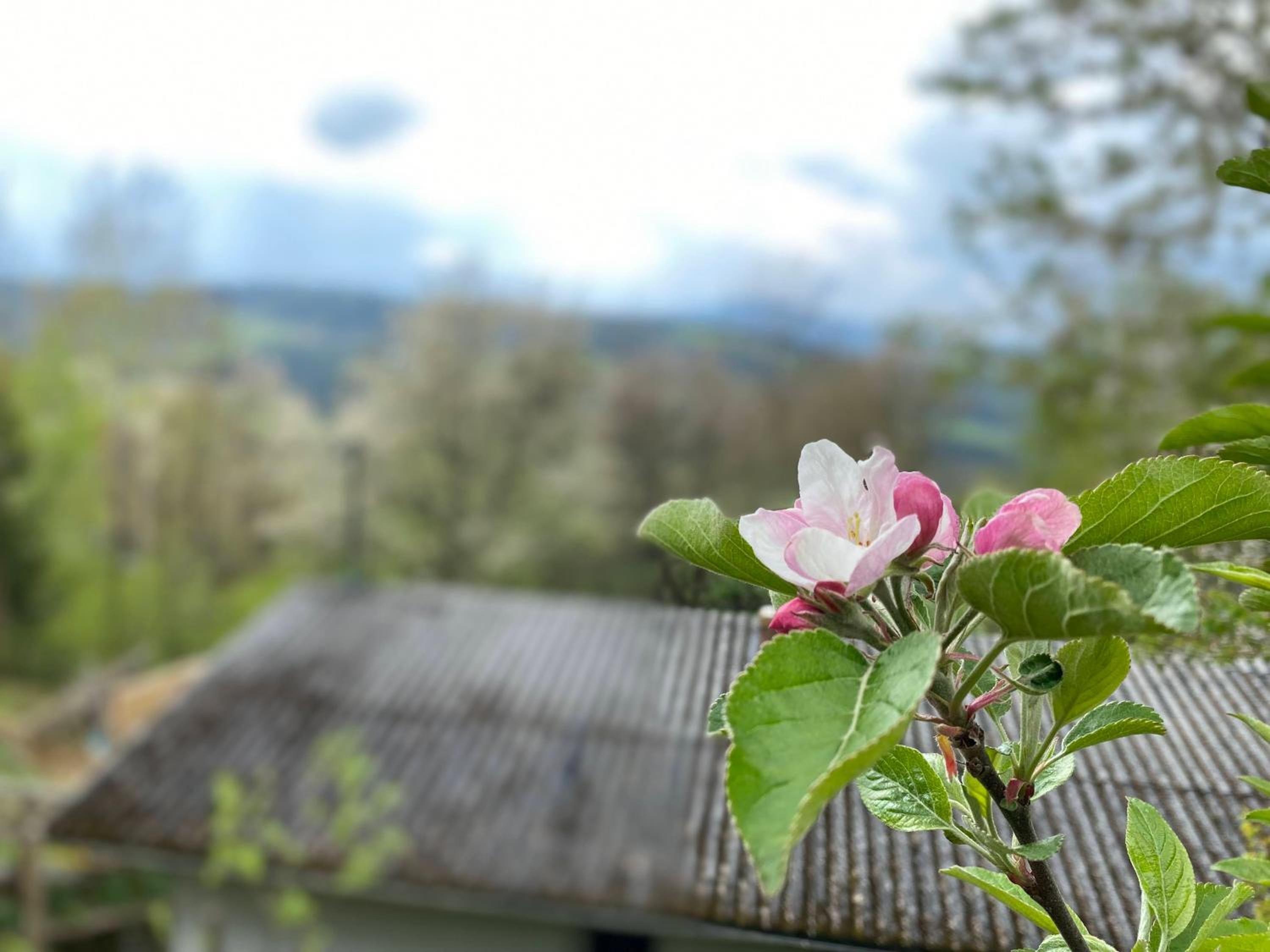 AUSZEIT am Steinbichl