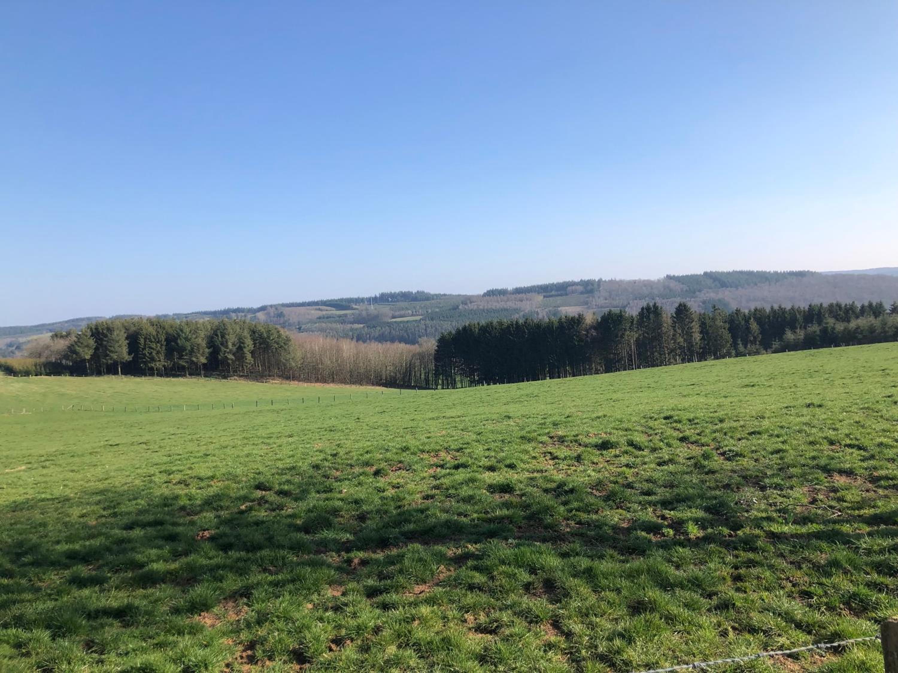 Les Caliciades 1 à Gros-Fays