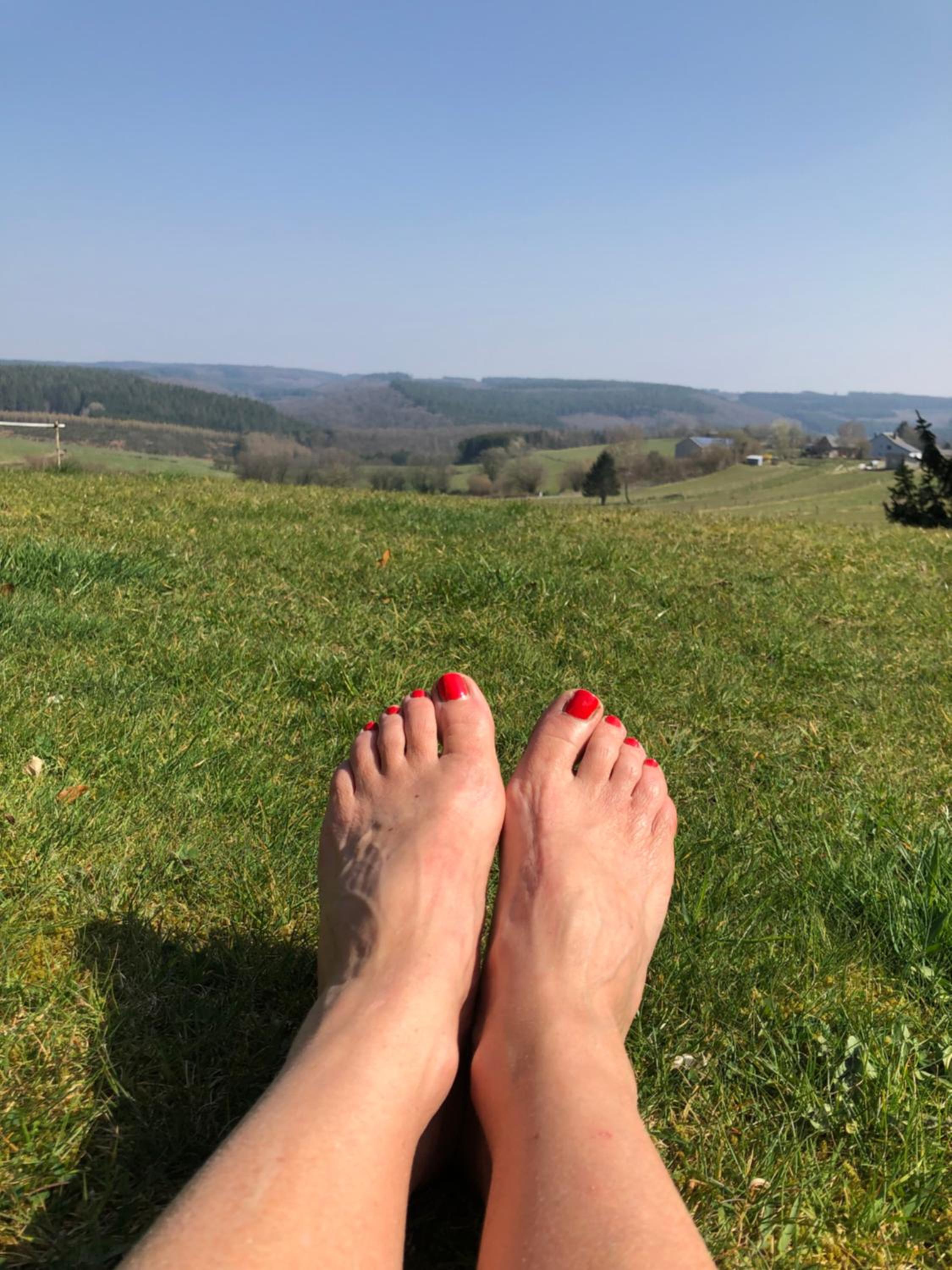 Les Caliciades 1 à Gros-Fays