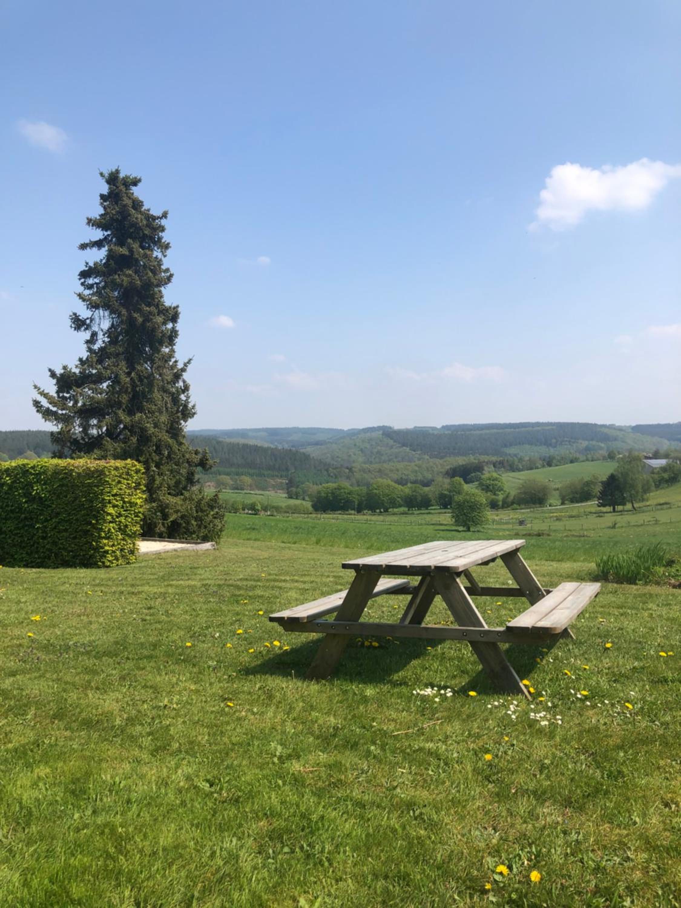Les Caliciades 1 à Gros-Fays
