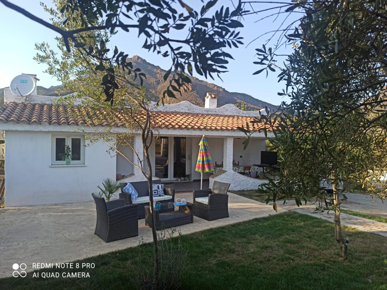 villa Dammar view 4