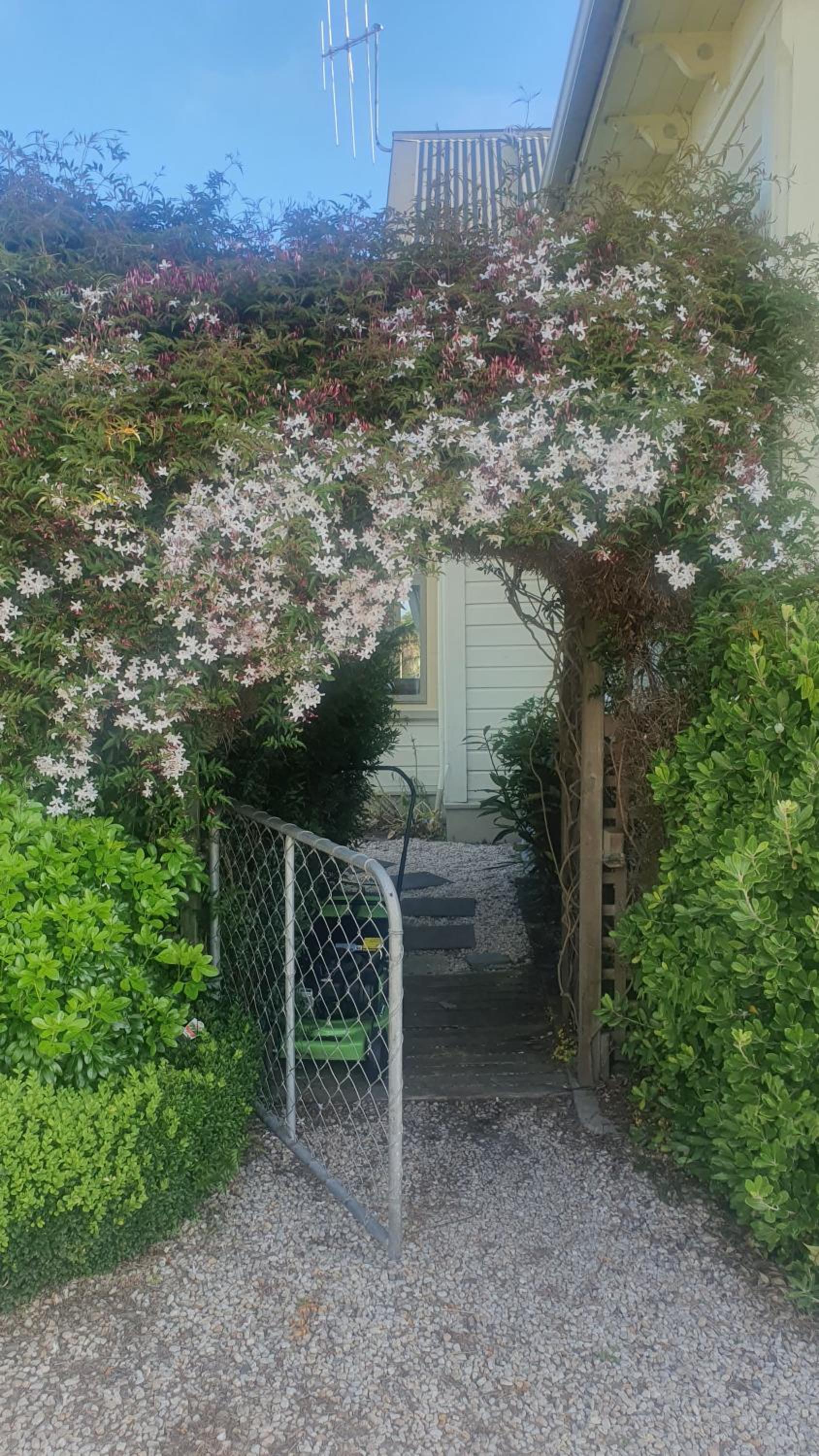 Photo 37