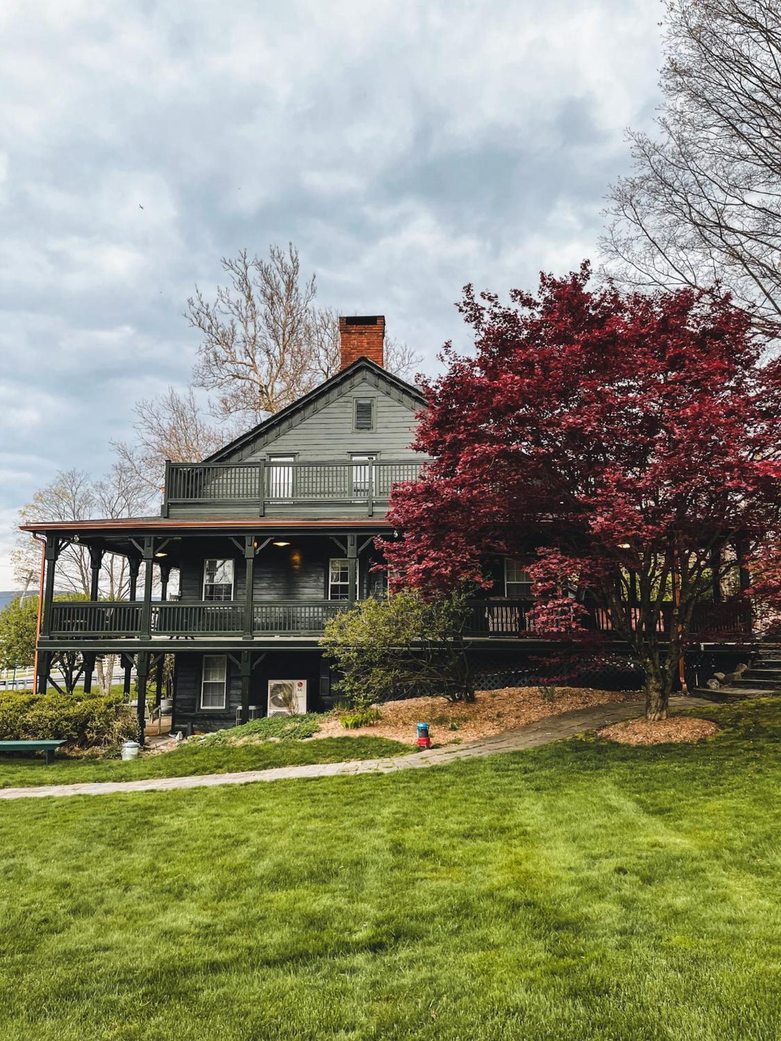 Fox & Bear Lodge view 5