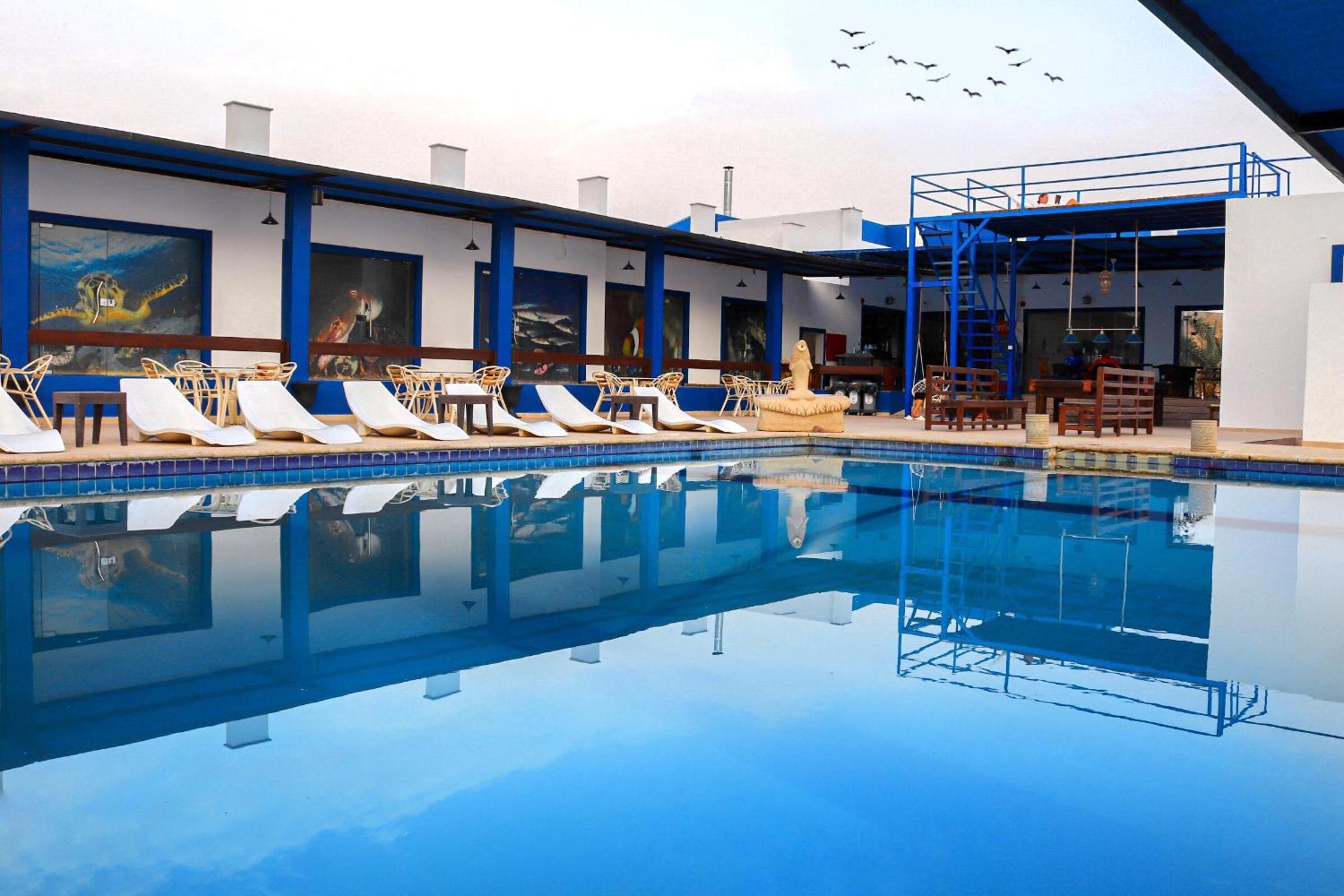 Aqaba Vacations - Aqaba Adventure Divers Resort Dive Center - Property Image 47
