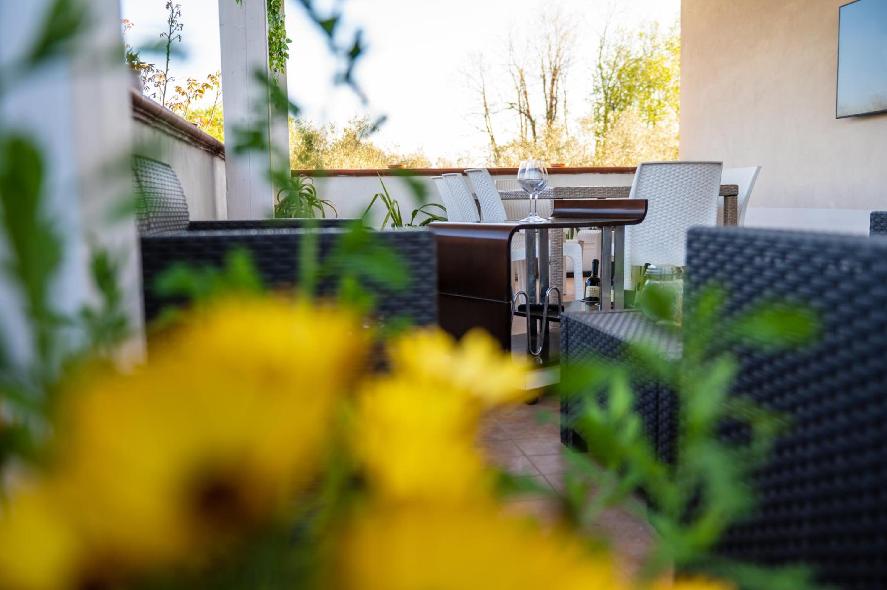balance & terrace