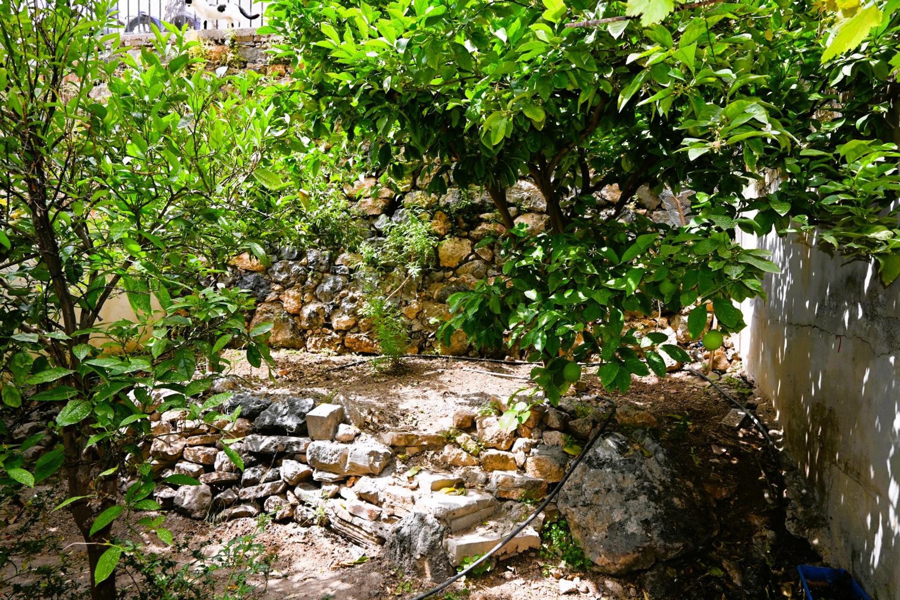 Photo 16