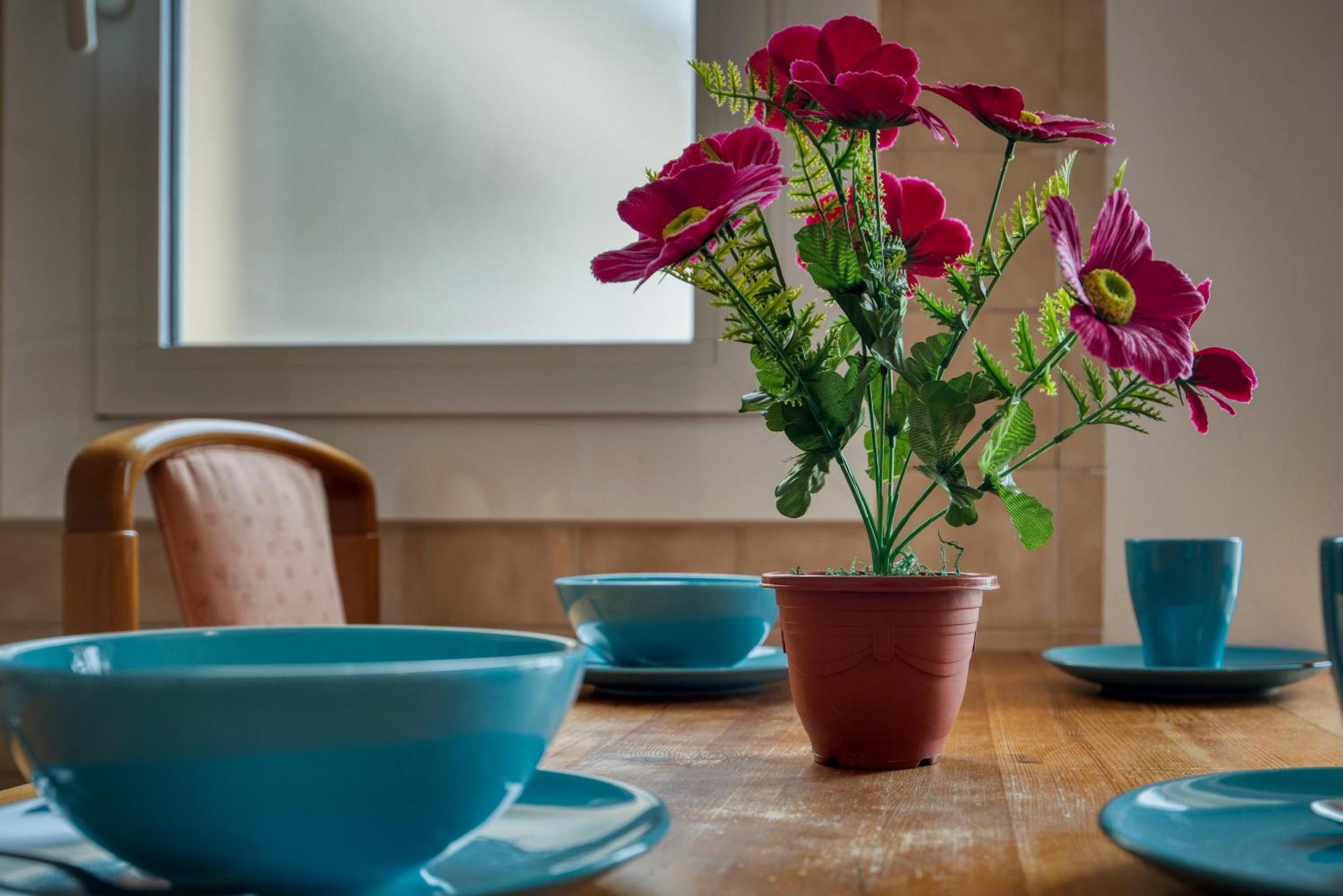 Apartament Luisa - Image 4