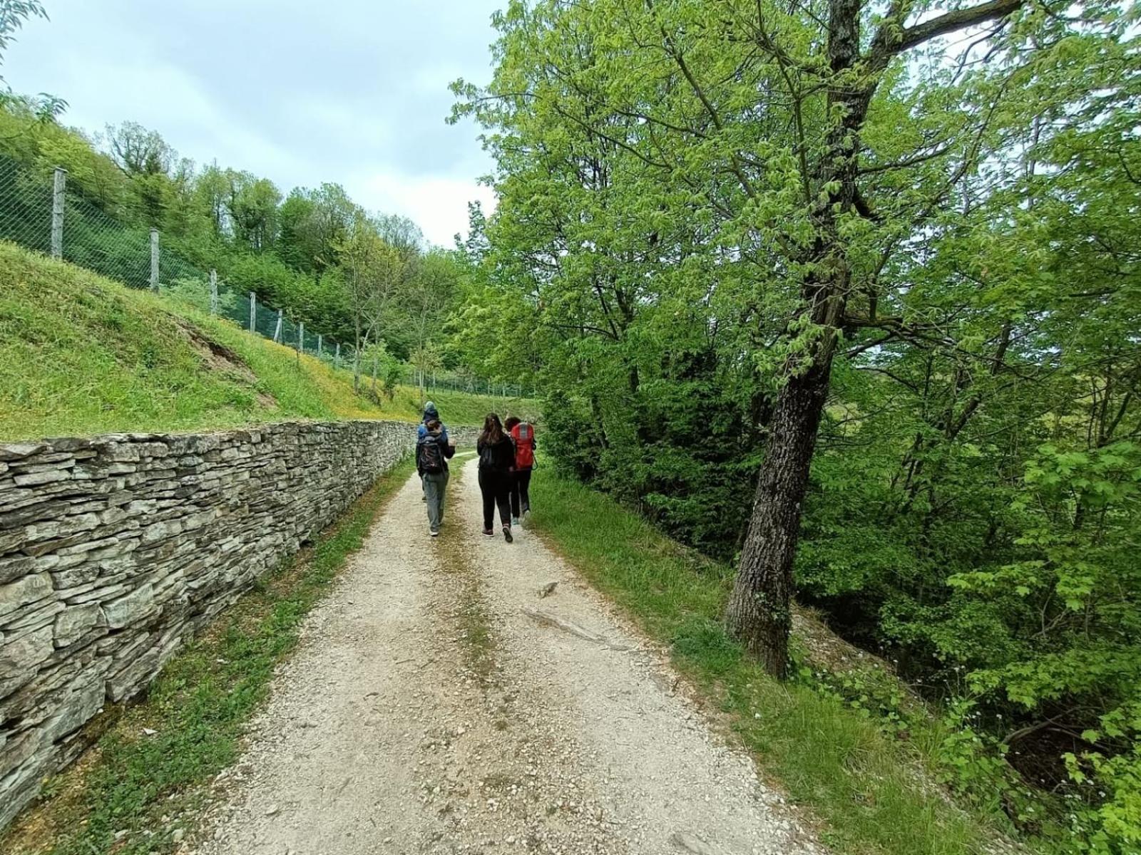 Photo 19