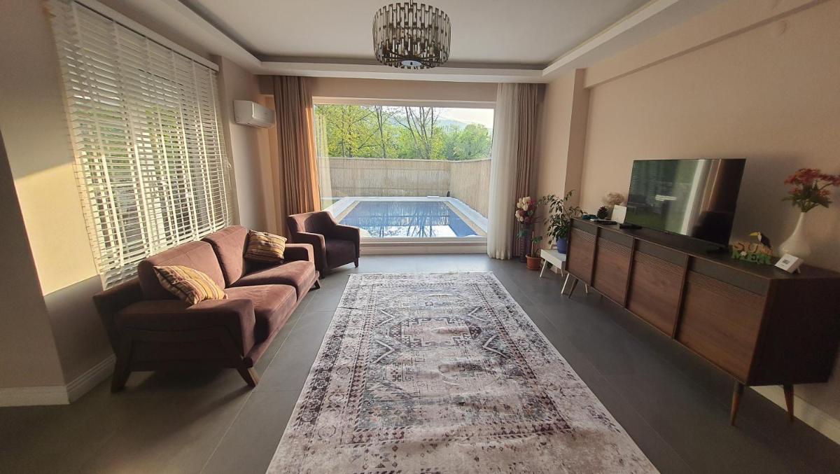 Villa Basaran, Private Villa with Large Heated Swimming Pool in Sapanca — photo 3