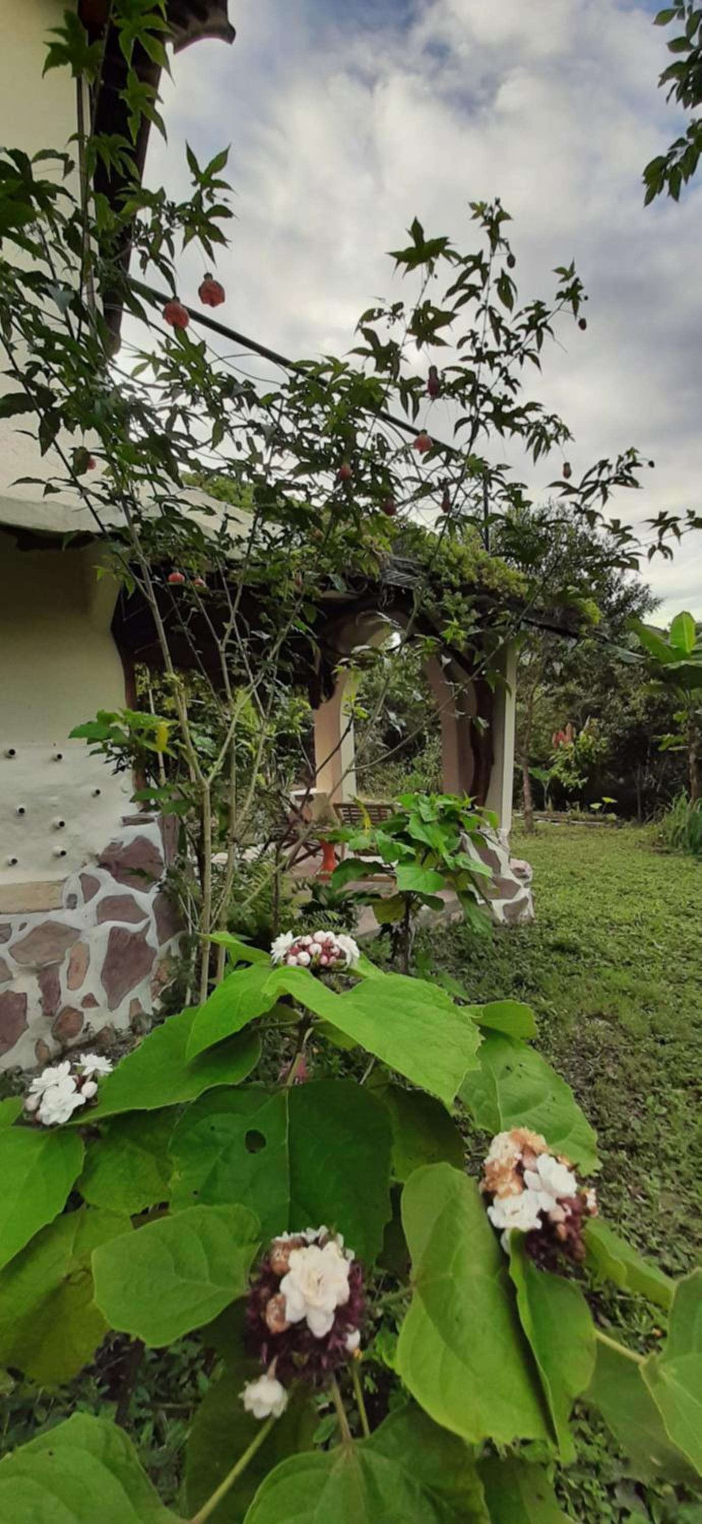 Flor da Vida _ Honeymoon suite - Vale do Capao