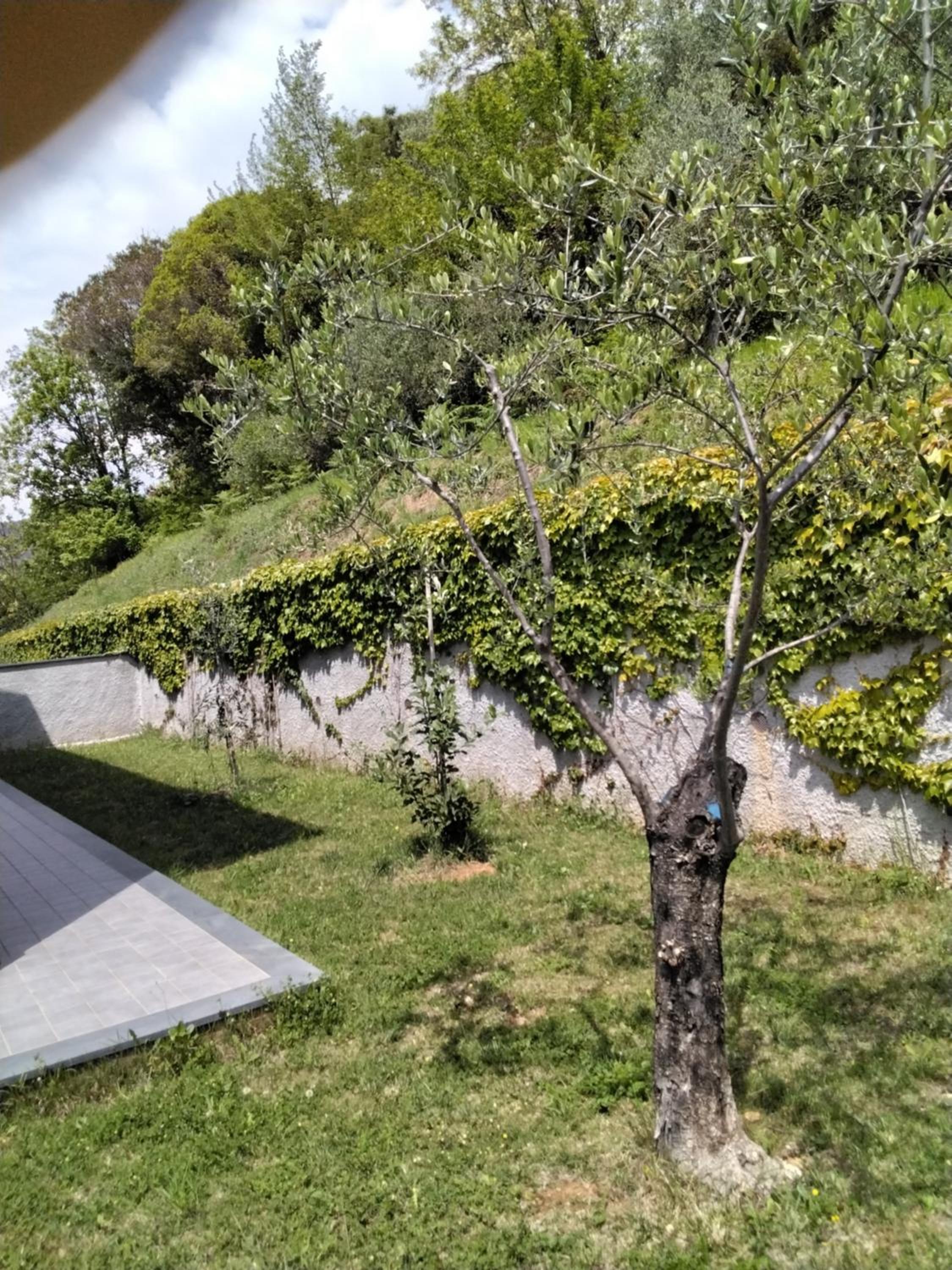 "Vento di Levante Suite" benvenuti in collina