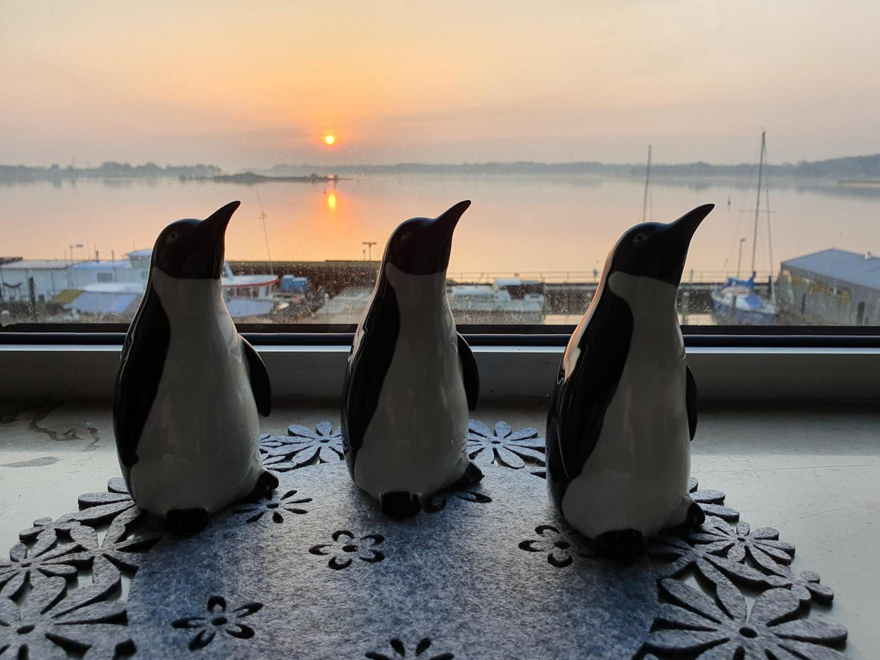 Ferienwohnung Schleiloge mit Panoramablick auf die Schlei