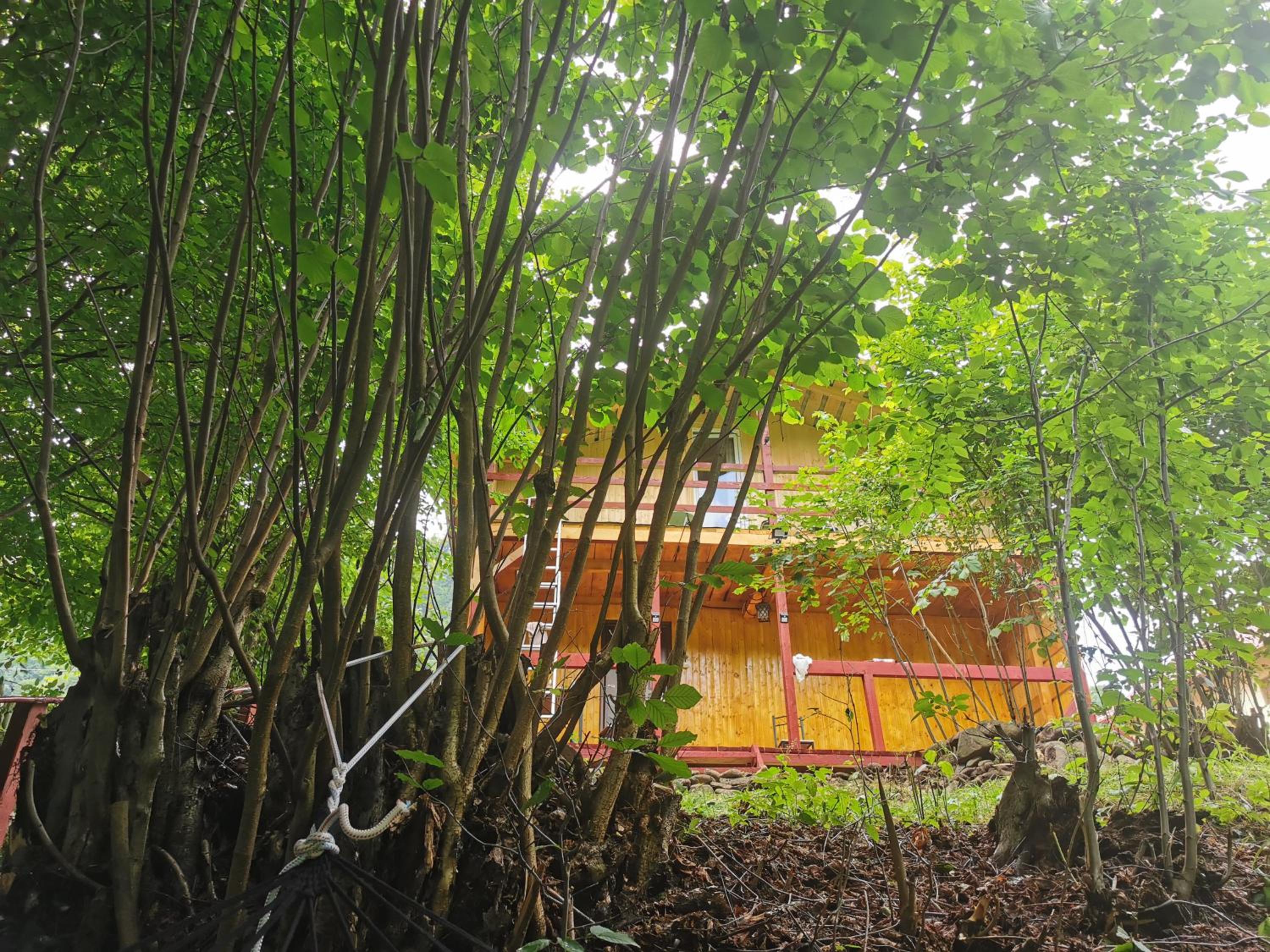 Photo 15
