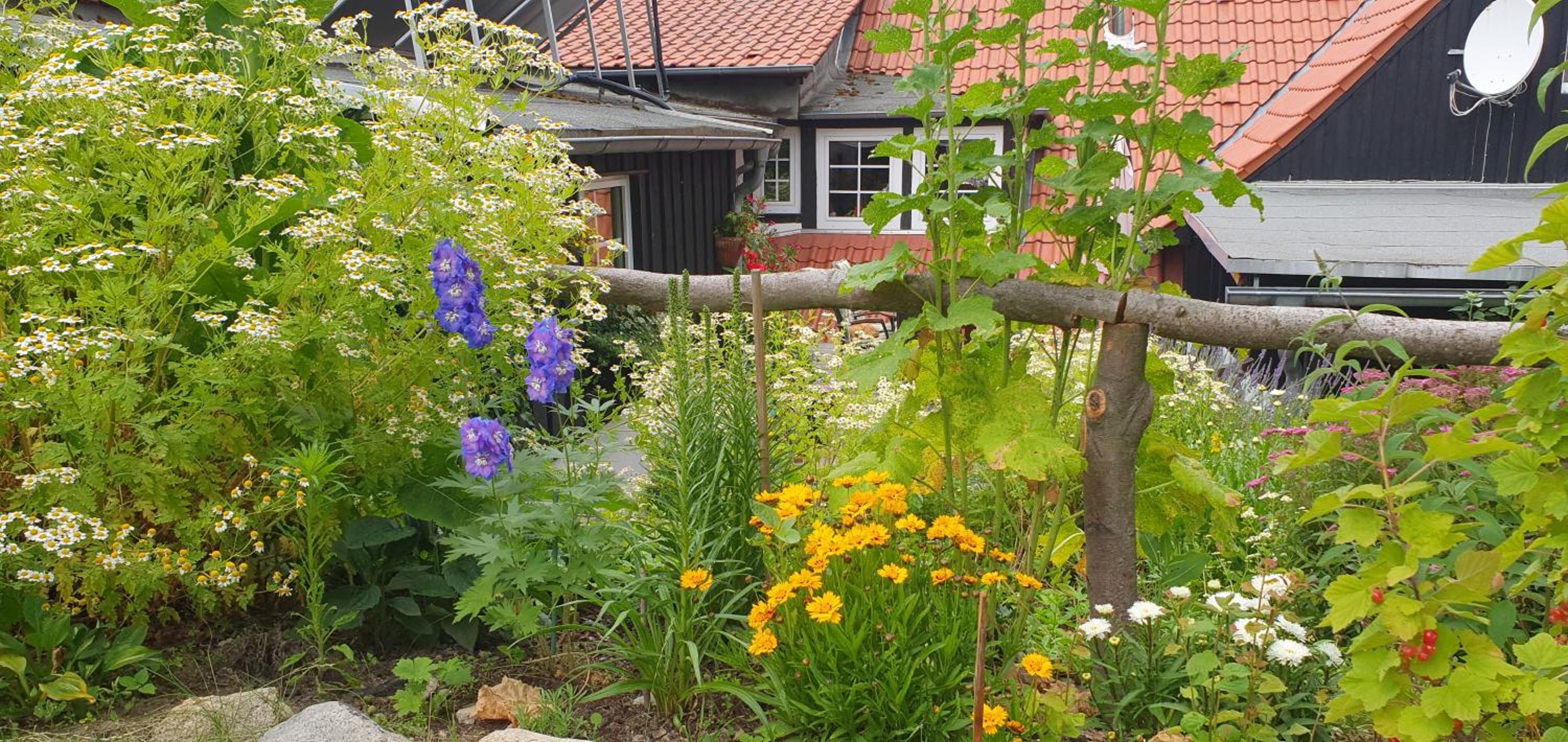 Ferienwohnung Zur Ellernmühle