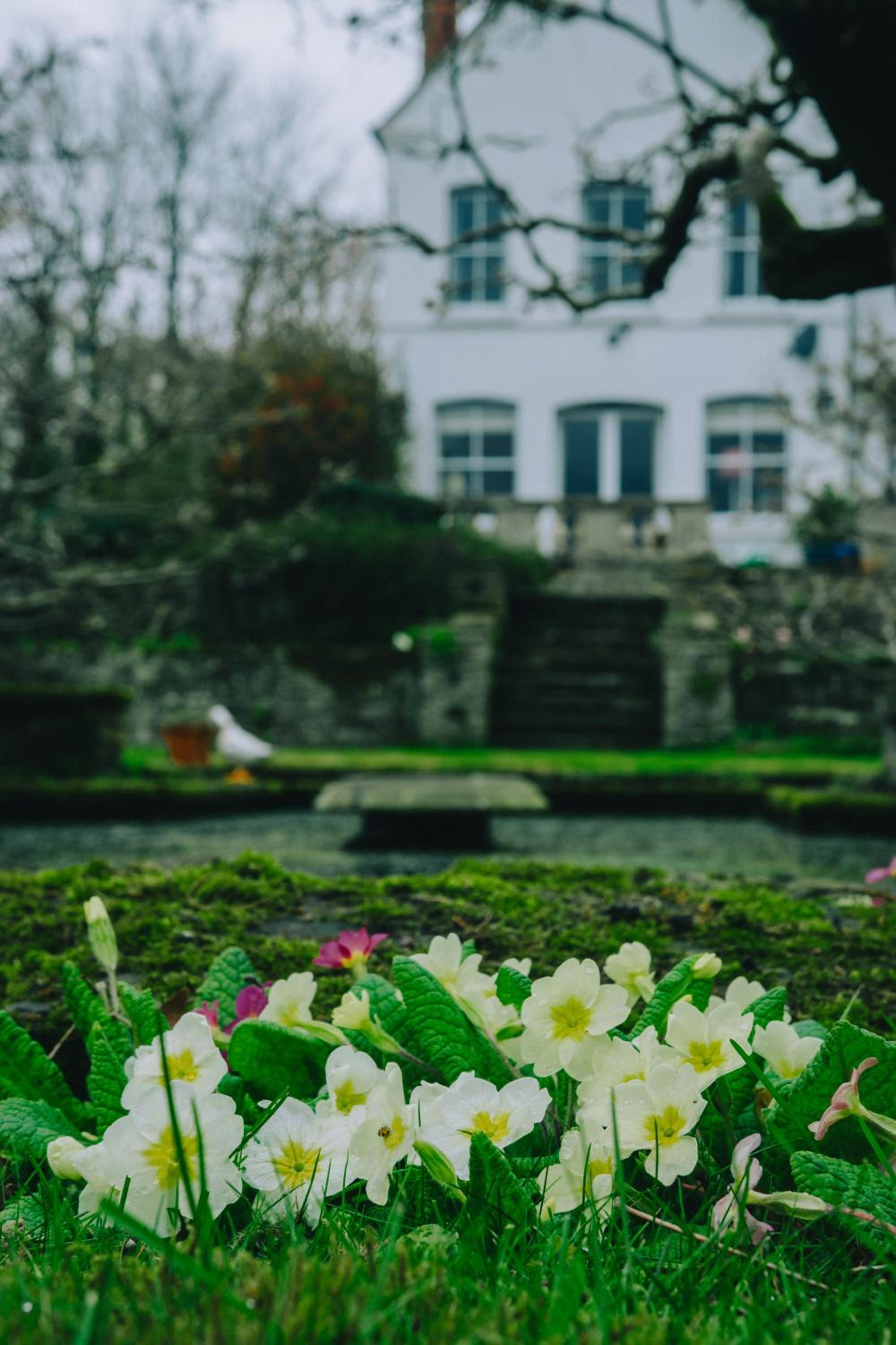 Photo 48