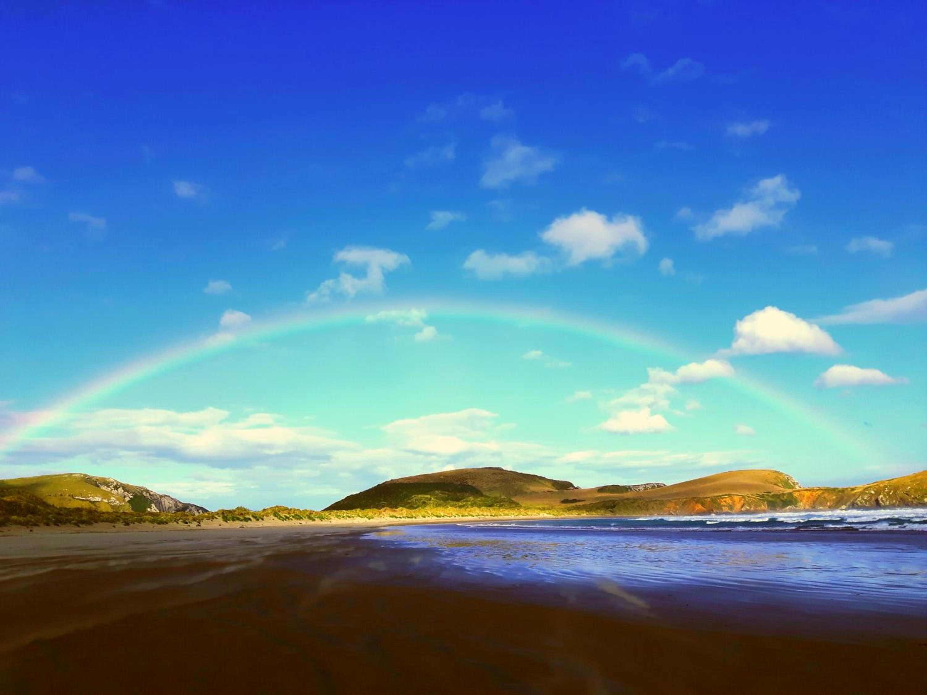 Surat Bay Lodge, Motel and Backpackers