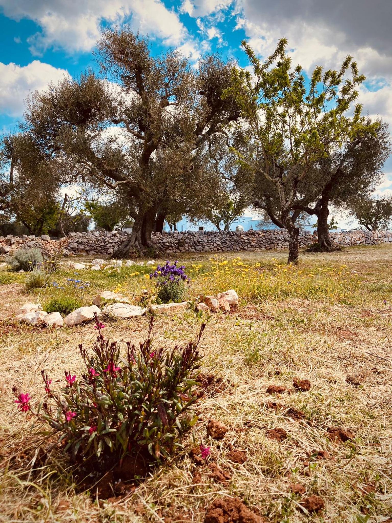 Photo 22