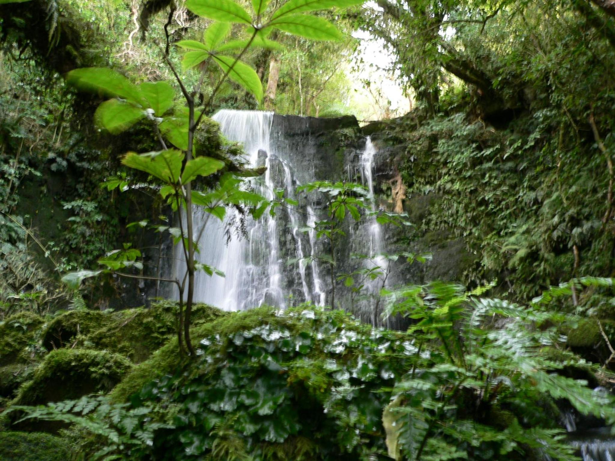 Surat Bay Lodge, Motel and Backpackers