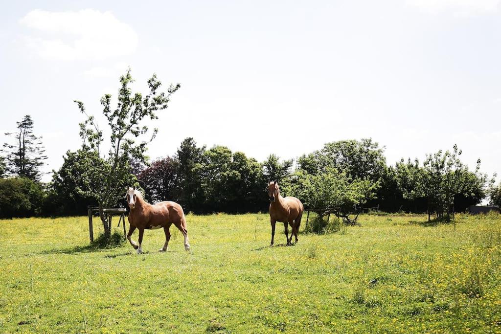 The Pole Barn - Stunning, High Spec Barn Conversion view 2