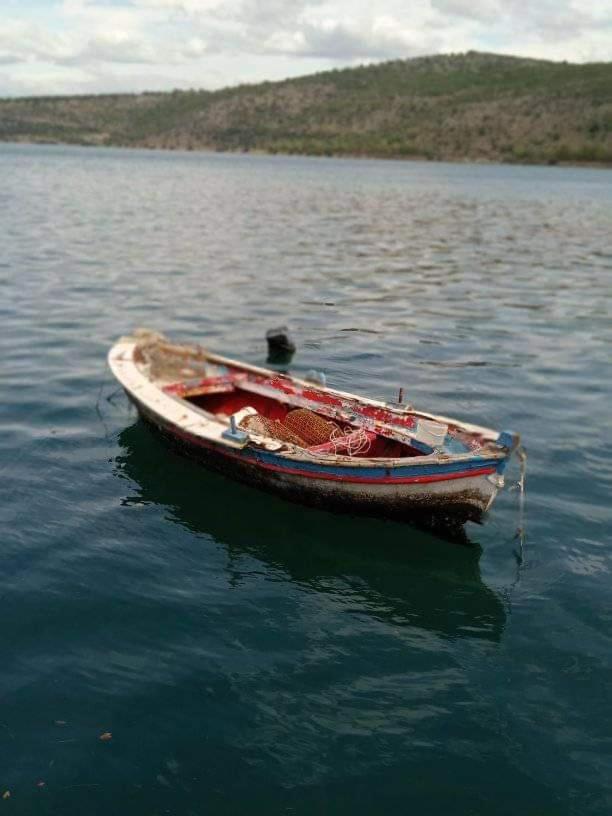 Photo 47