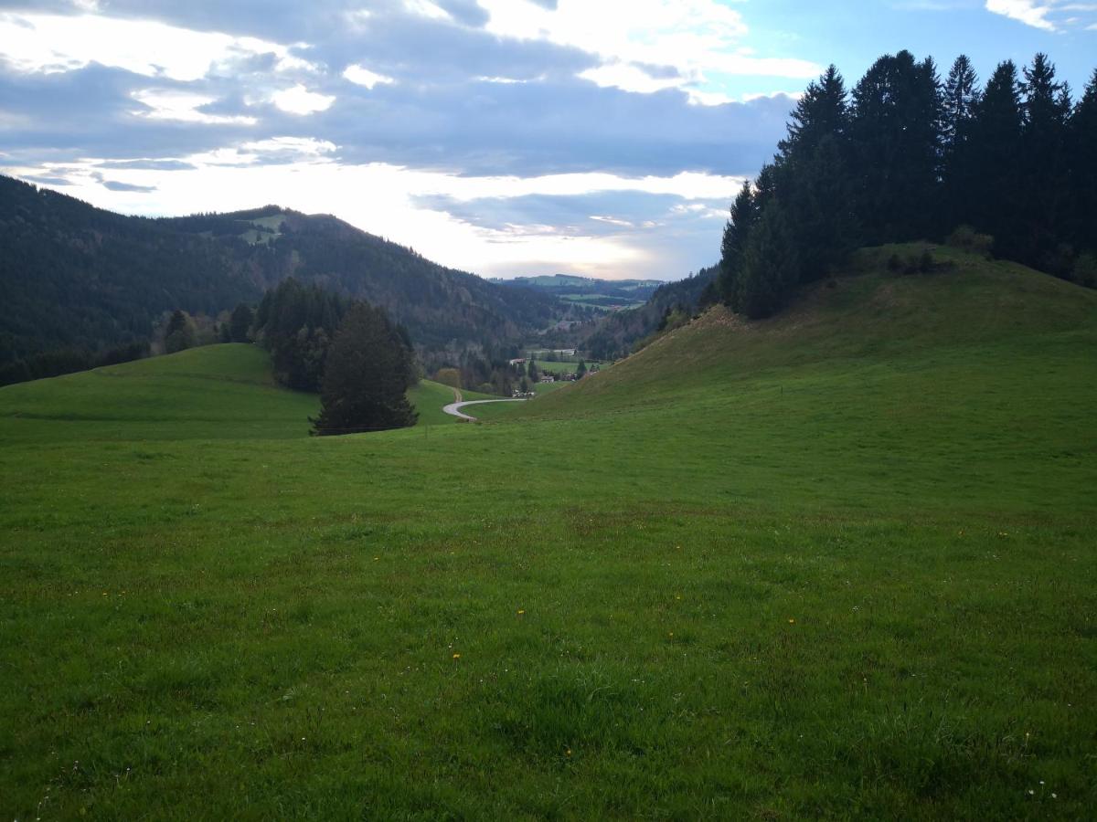 Photo 31