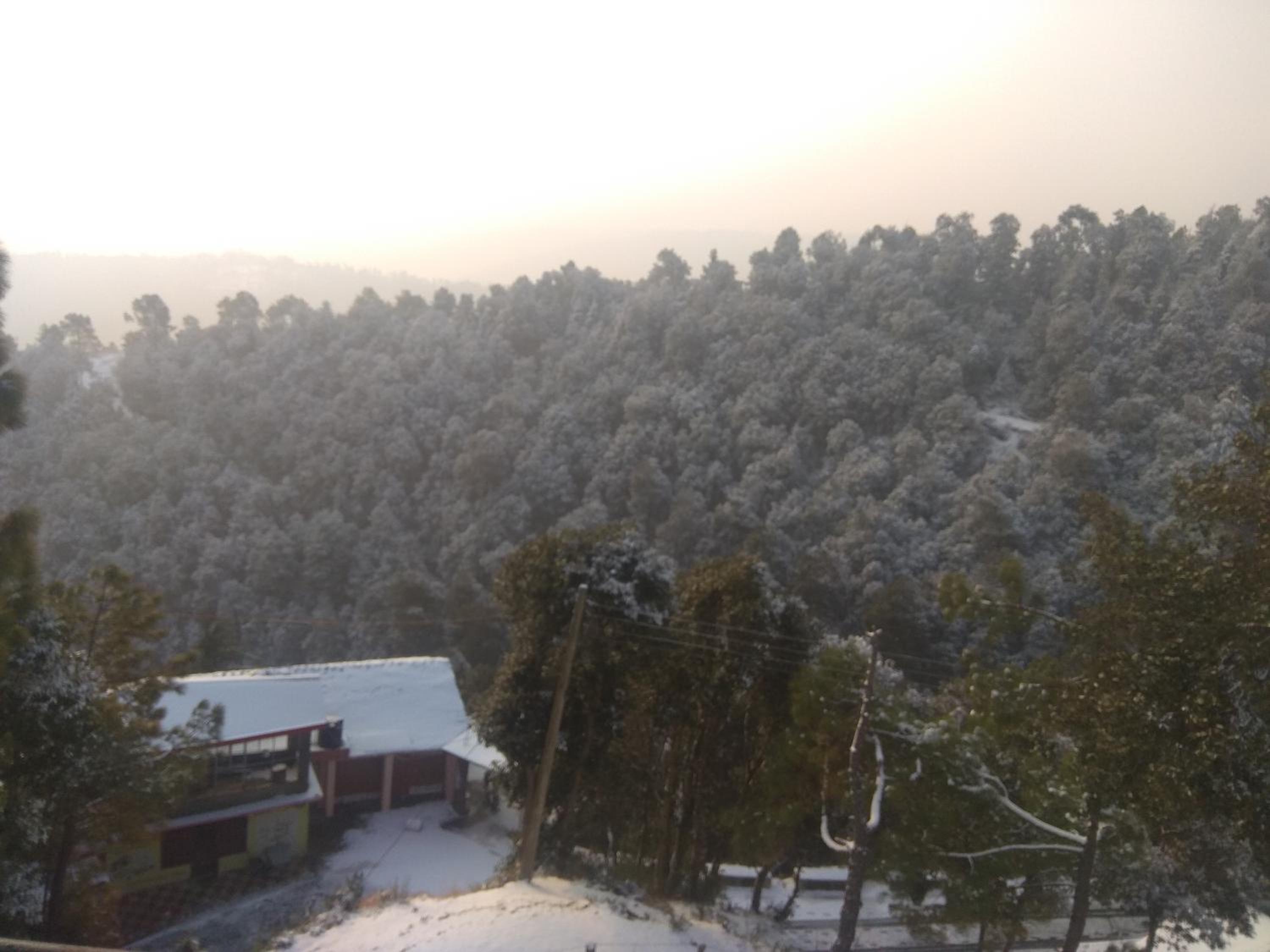 A.R . Homestay view 5