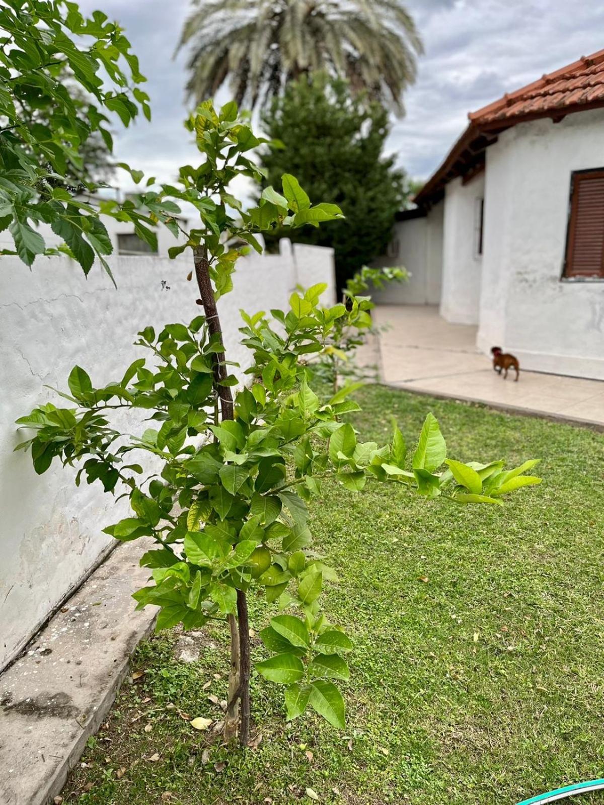 Termas de Río Hondo Casona Laconte