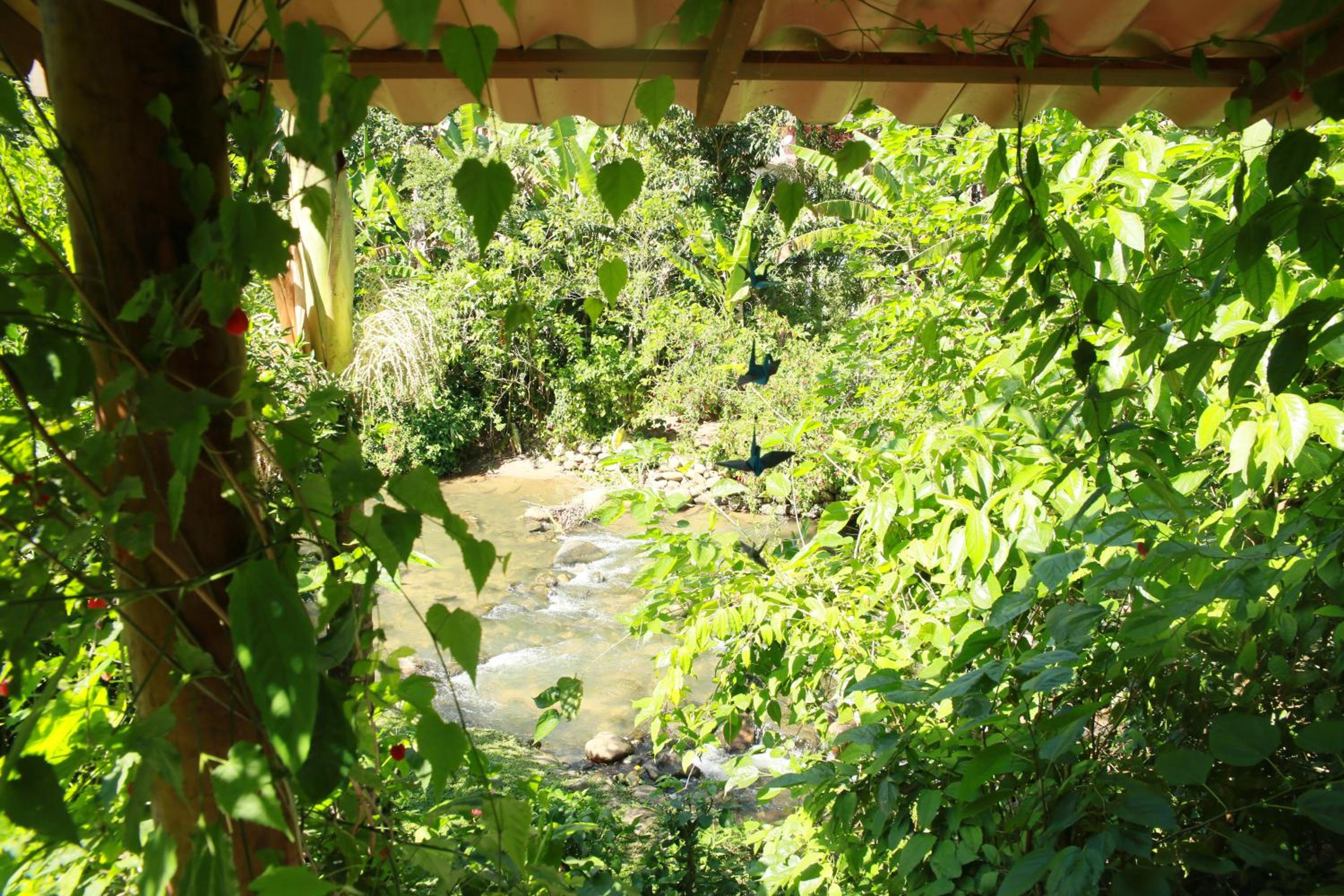 Casa Flôr - Beira rio Centro de Lumiar