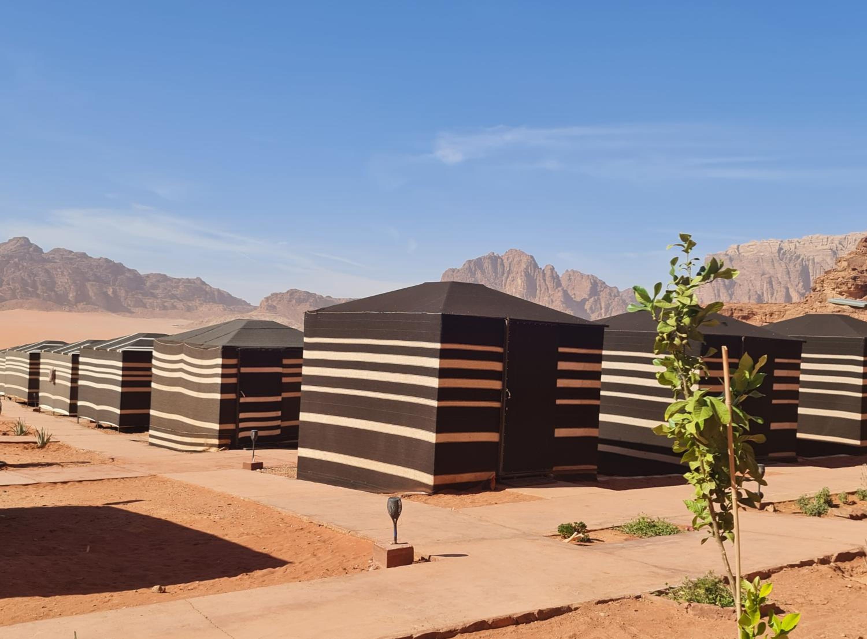 Wadi Rum Caravan Camp view 2