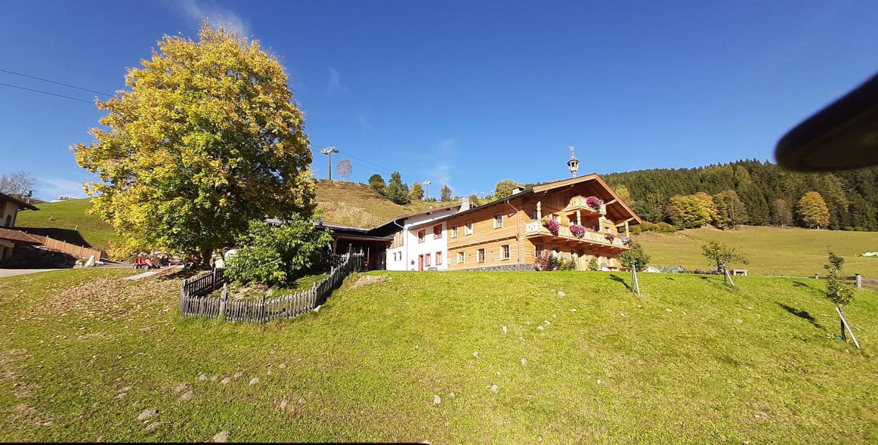 BIO-Bauernhof Hatzbauer