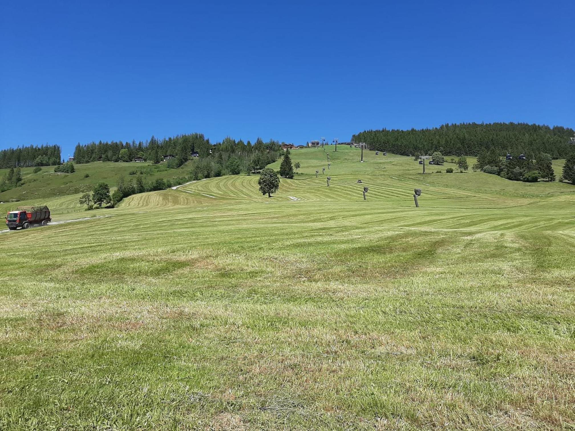 BIO-Bauernhof Hatzbauer
