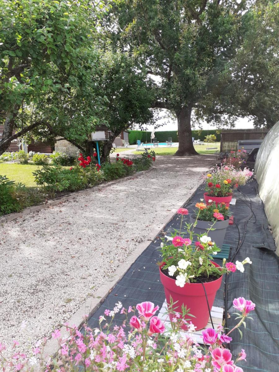 Photo 21