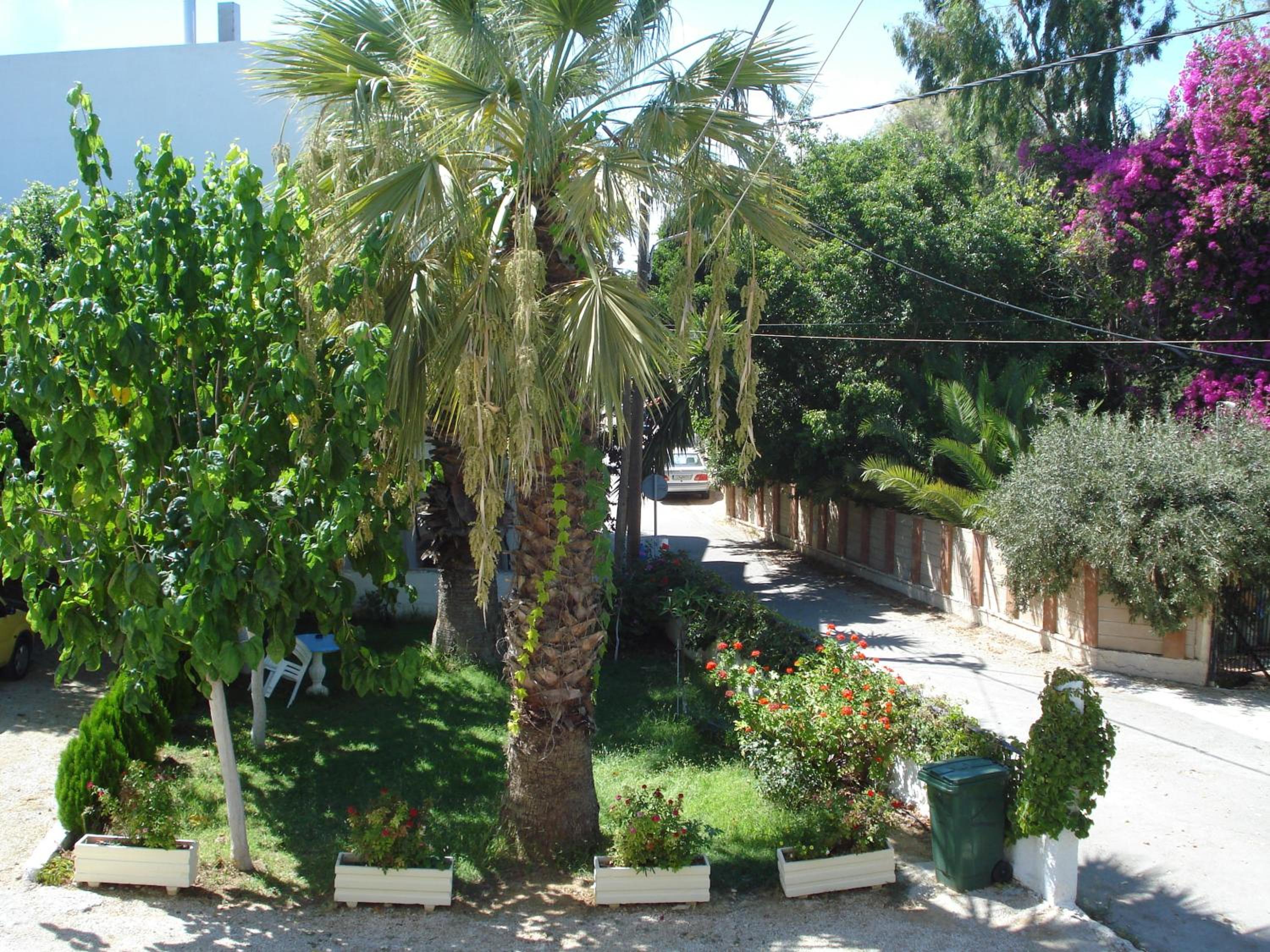 Zinovia