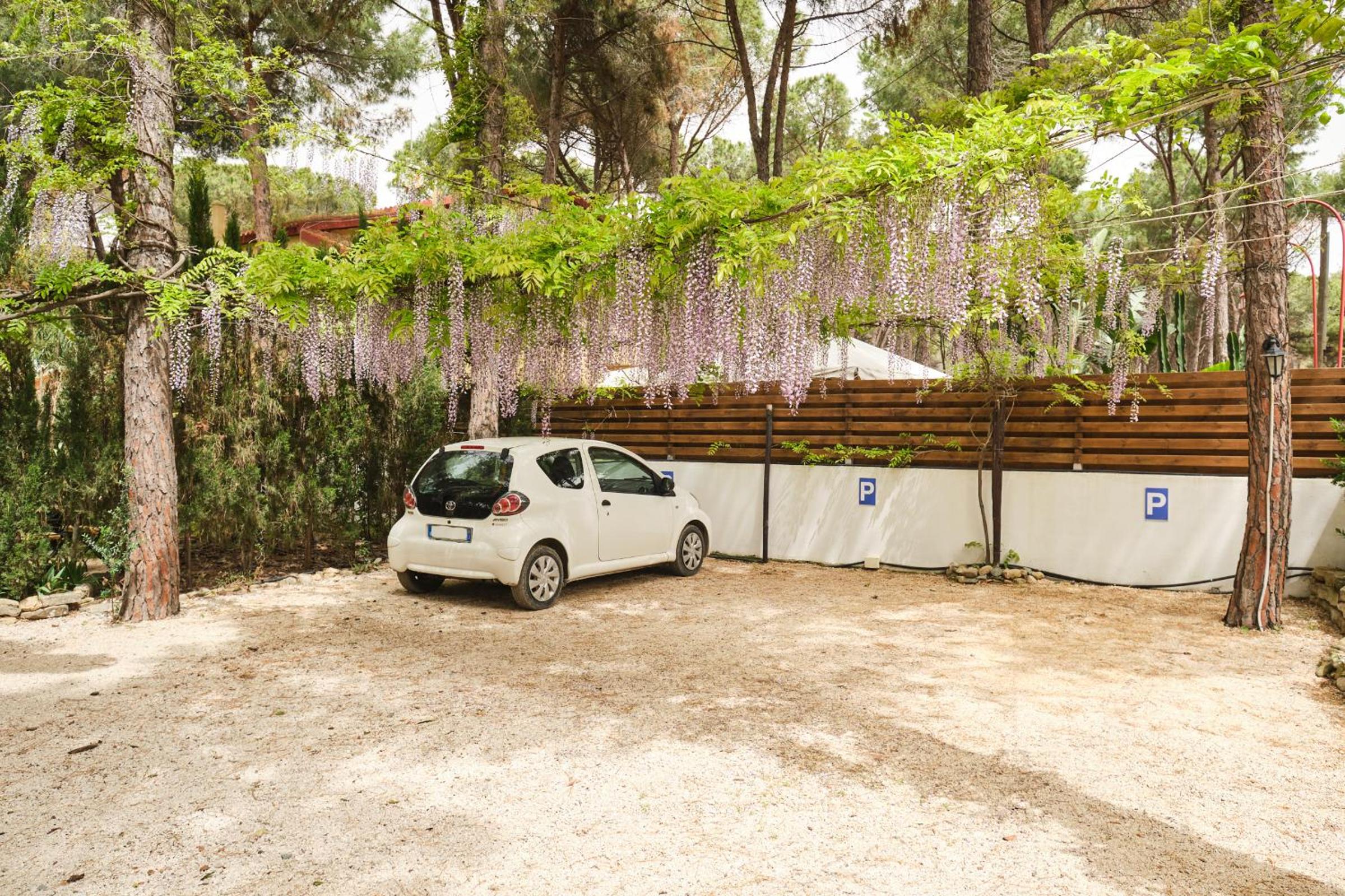 La Villetta Adults Only con giardino a Pula