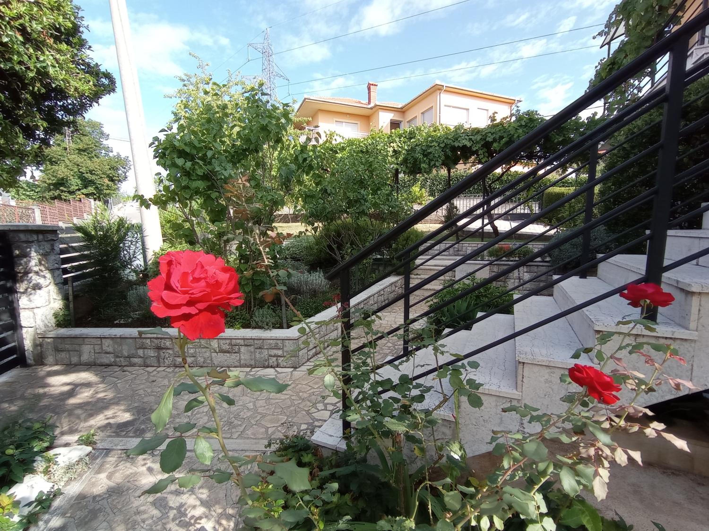Photo 24