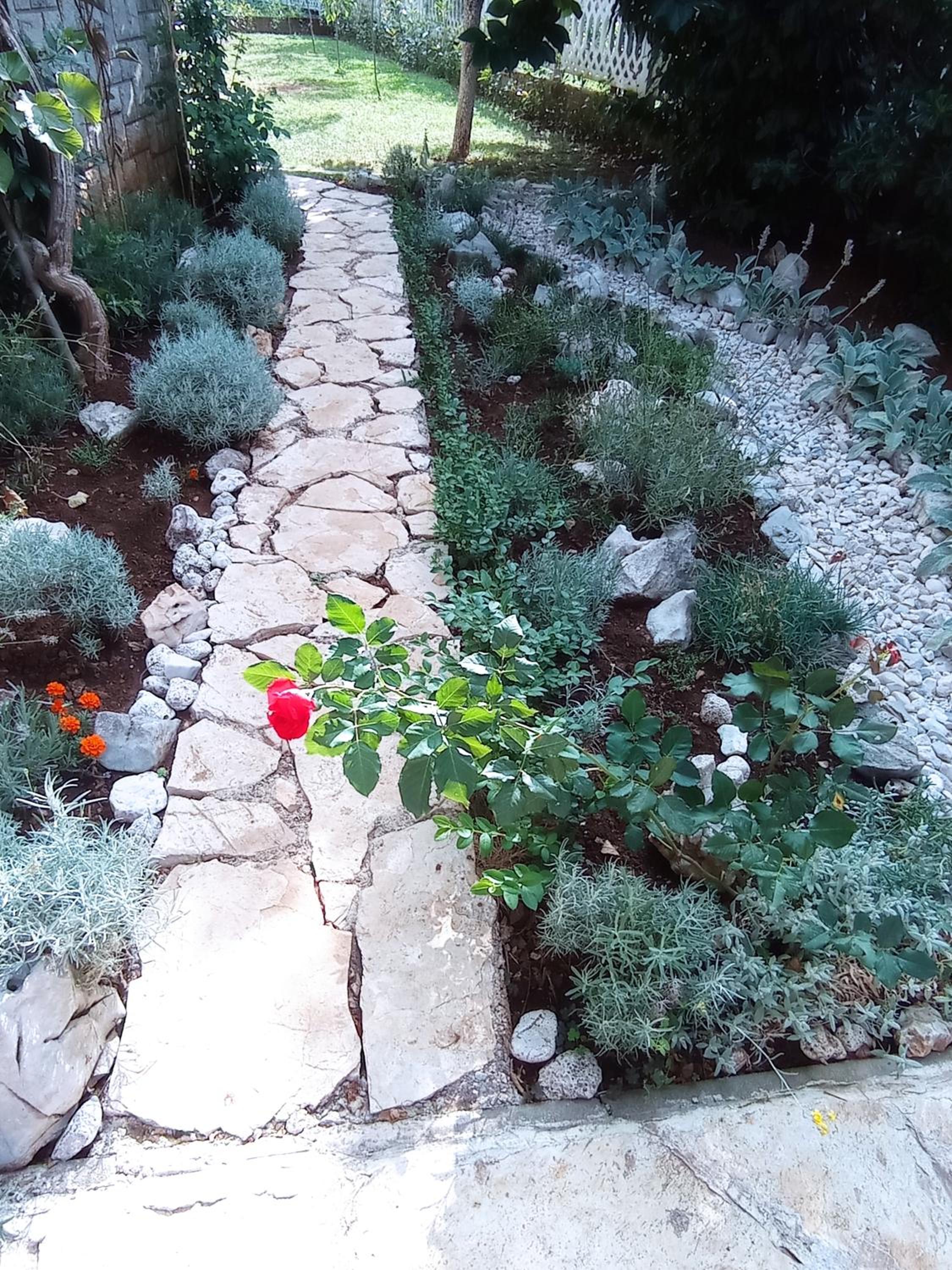 Photo 33