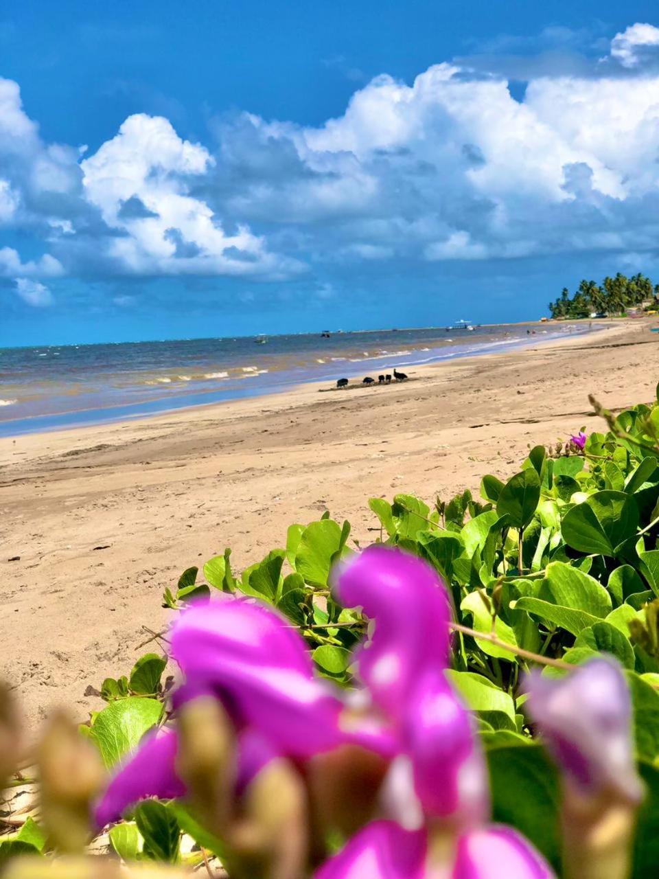 Condomínio Praias de Maragogi & Casas Deluxe